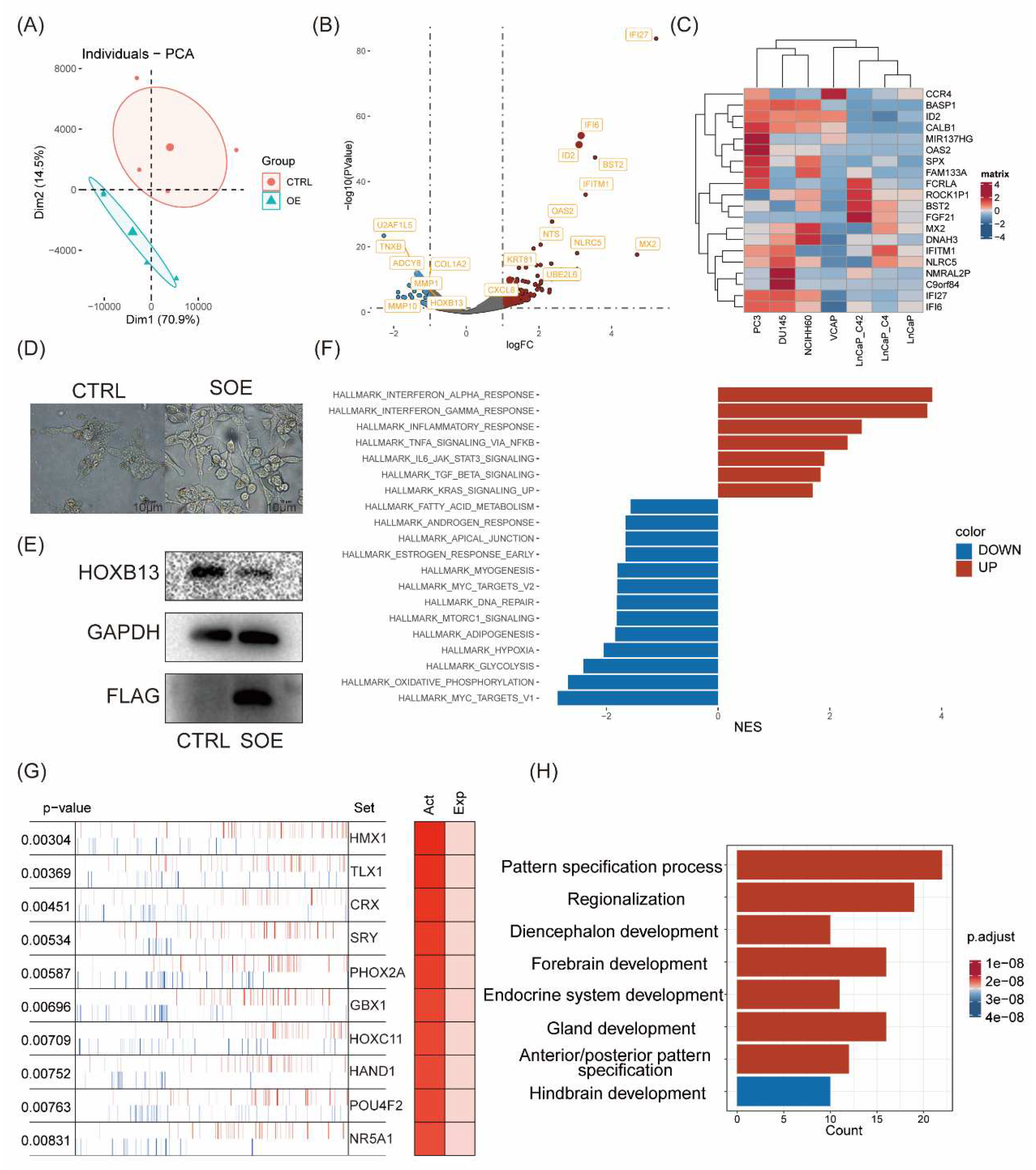 Preprints 91785 g002