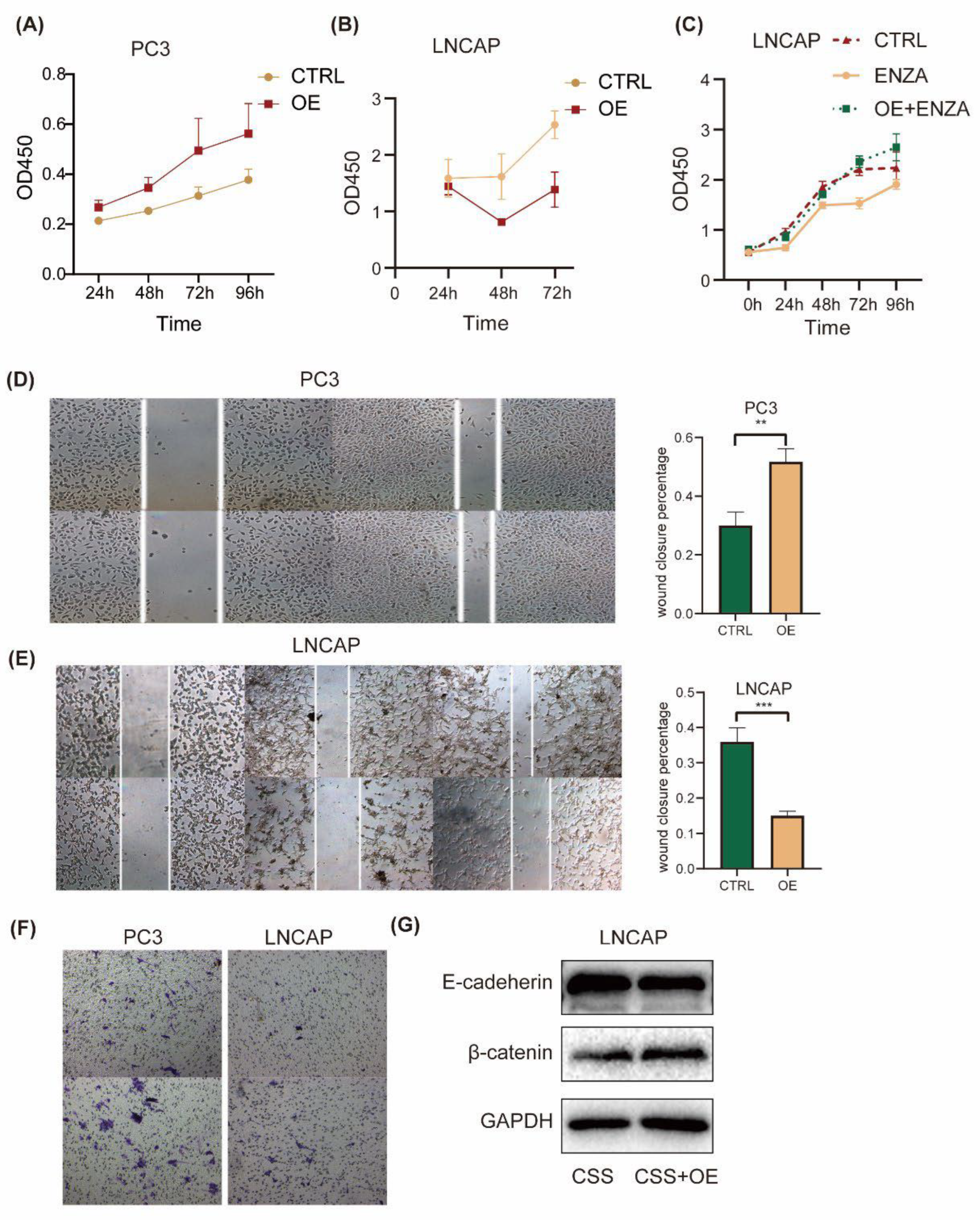 Preprints 91785 g004