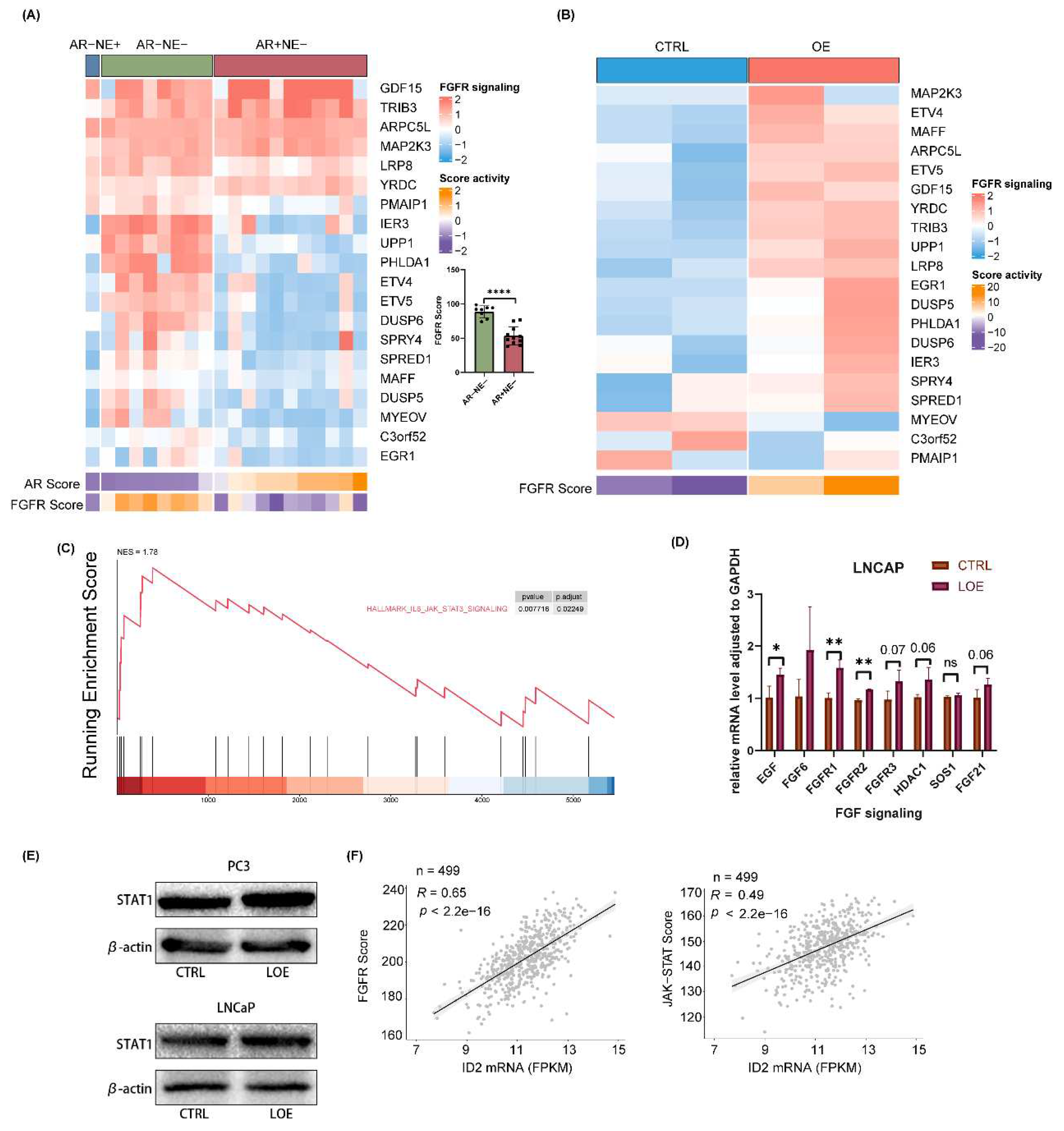 Preprints 91785 g006