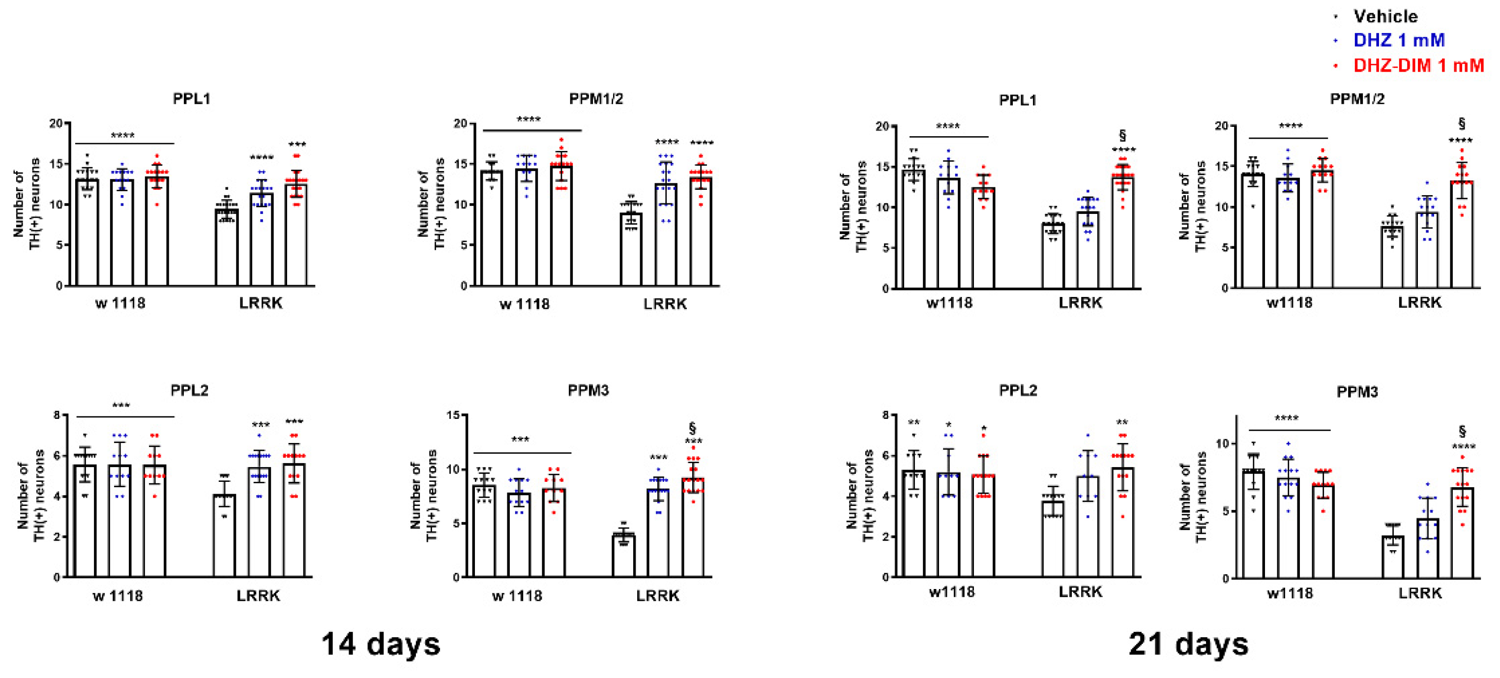 Preprints 94582 g006