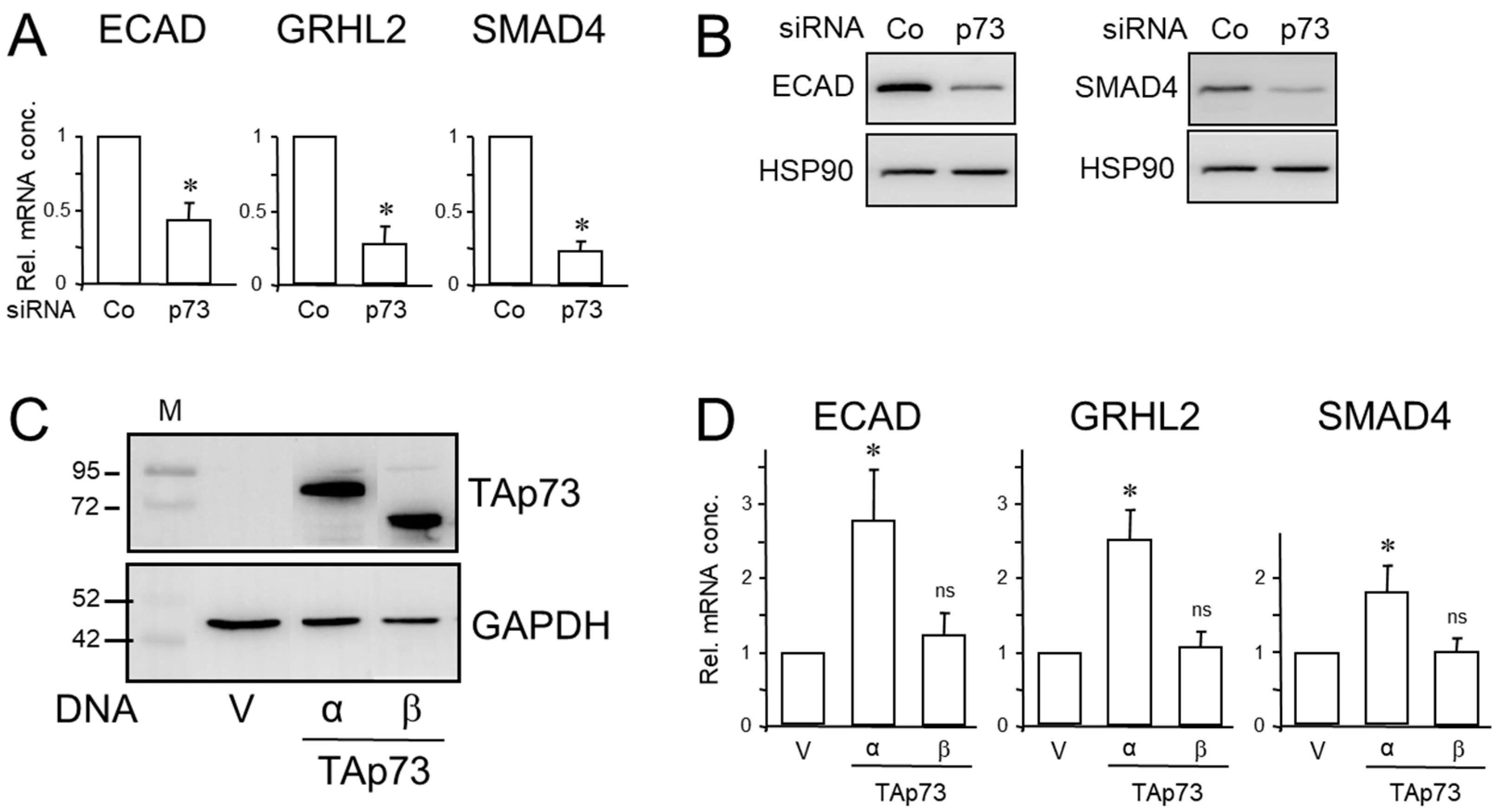 Preprints 77302 g001