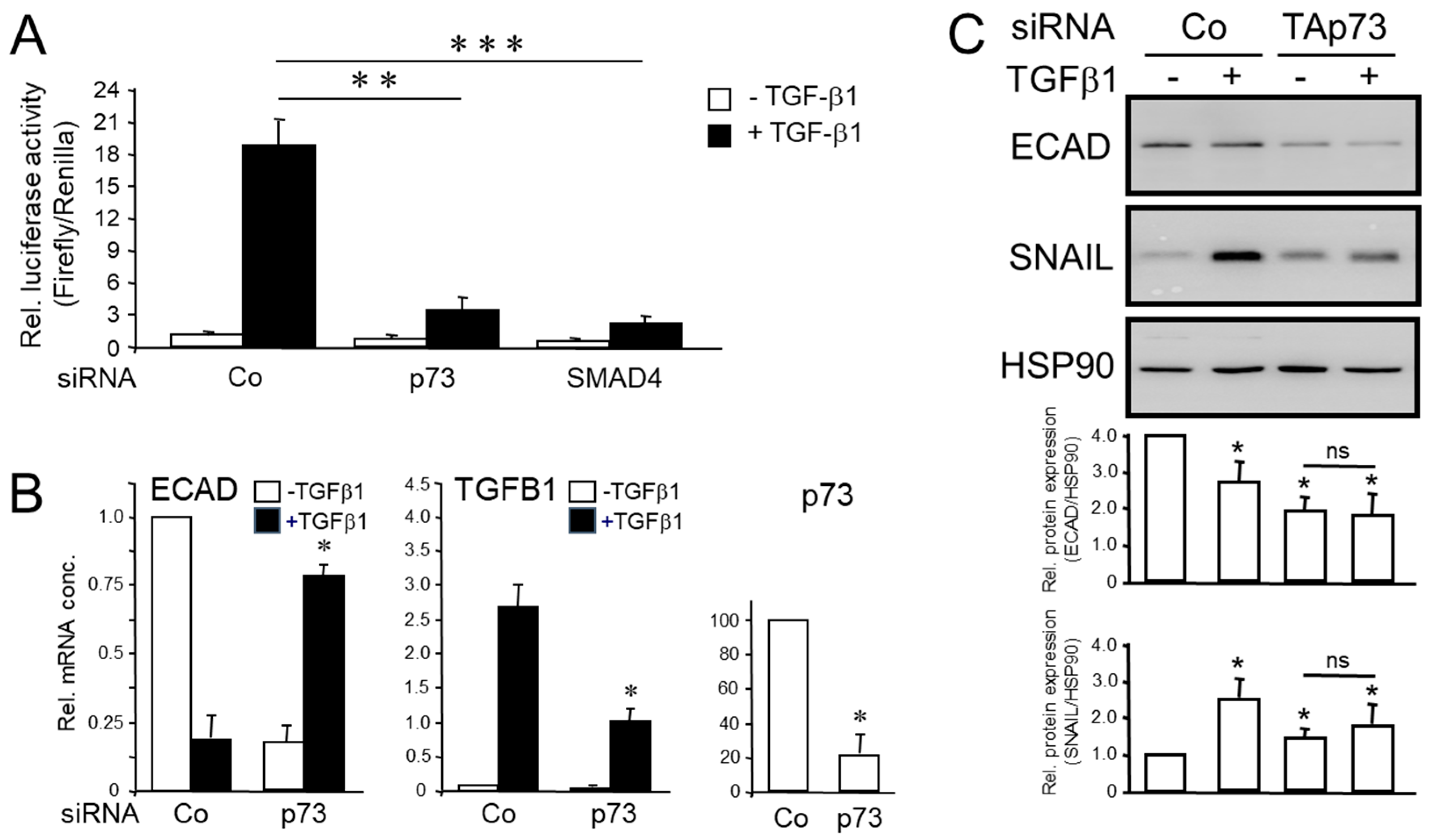 Preprints 77302 g002