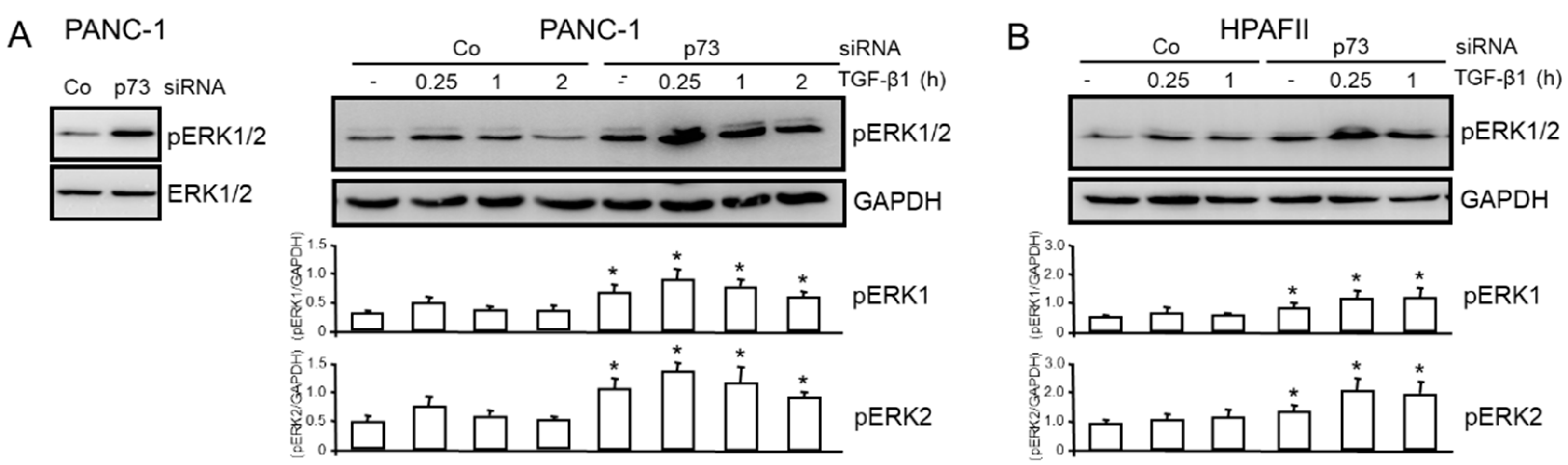 Preprints 77302 g003