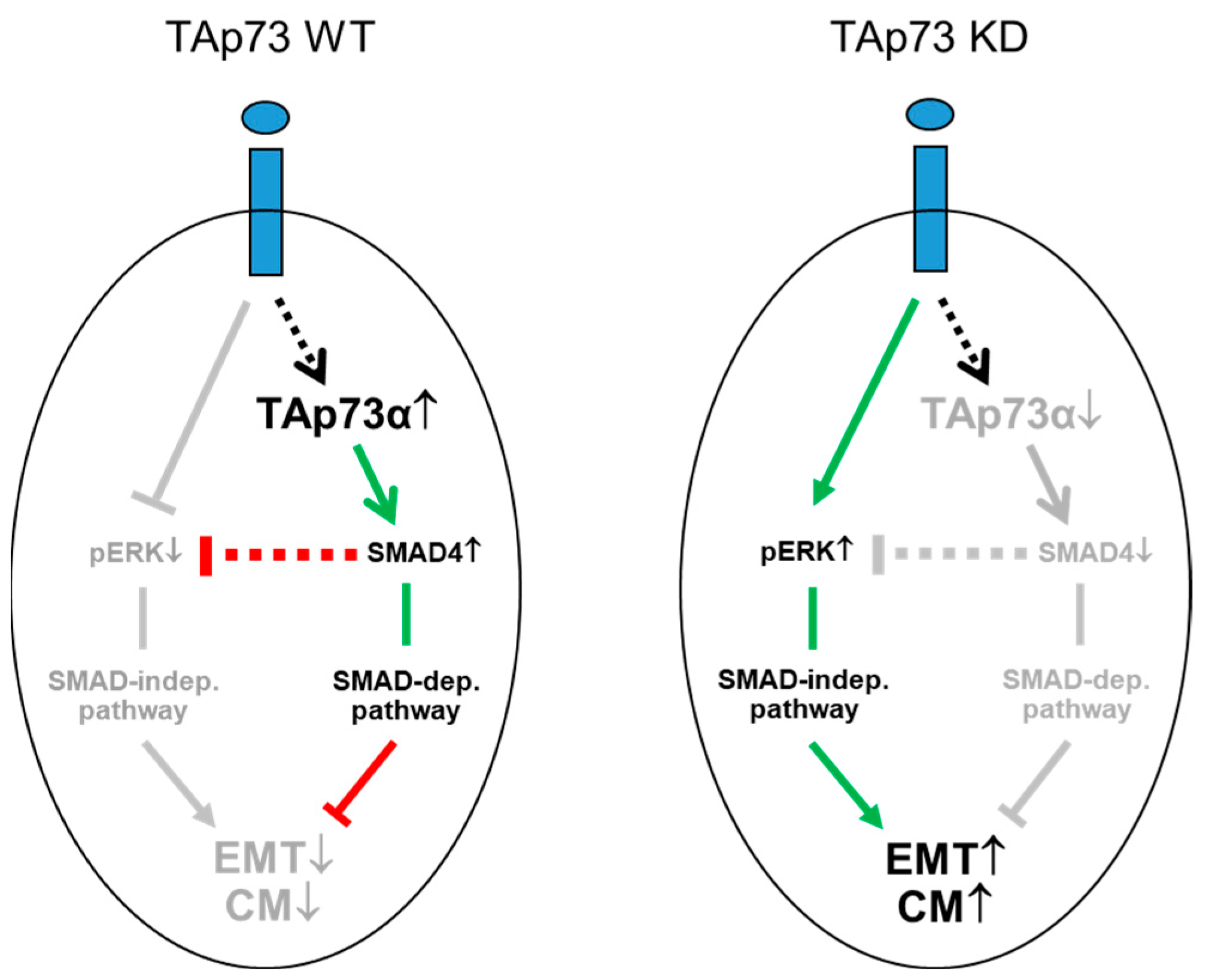 Preprints 77302 g006