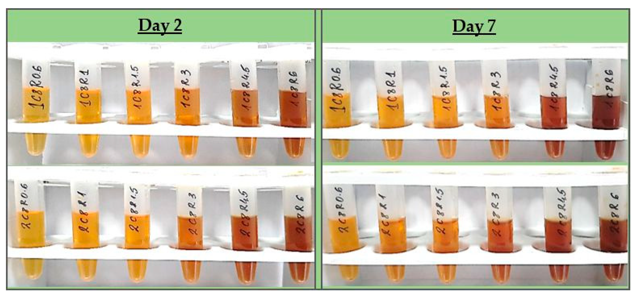 Preprints 82924 g001