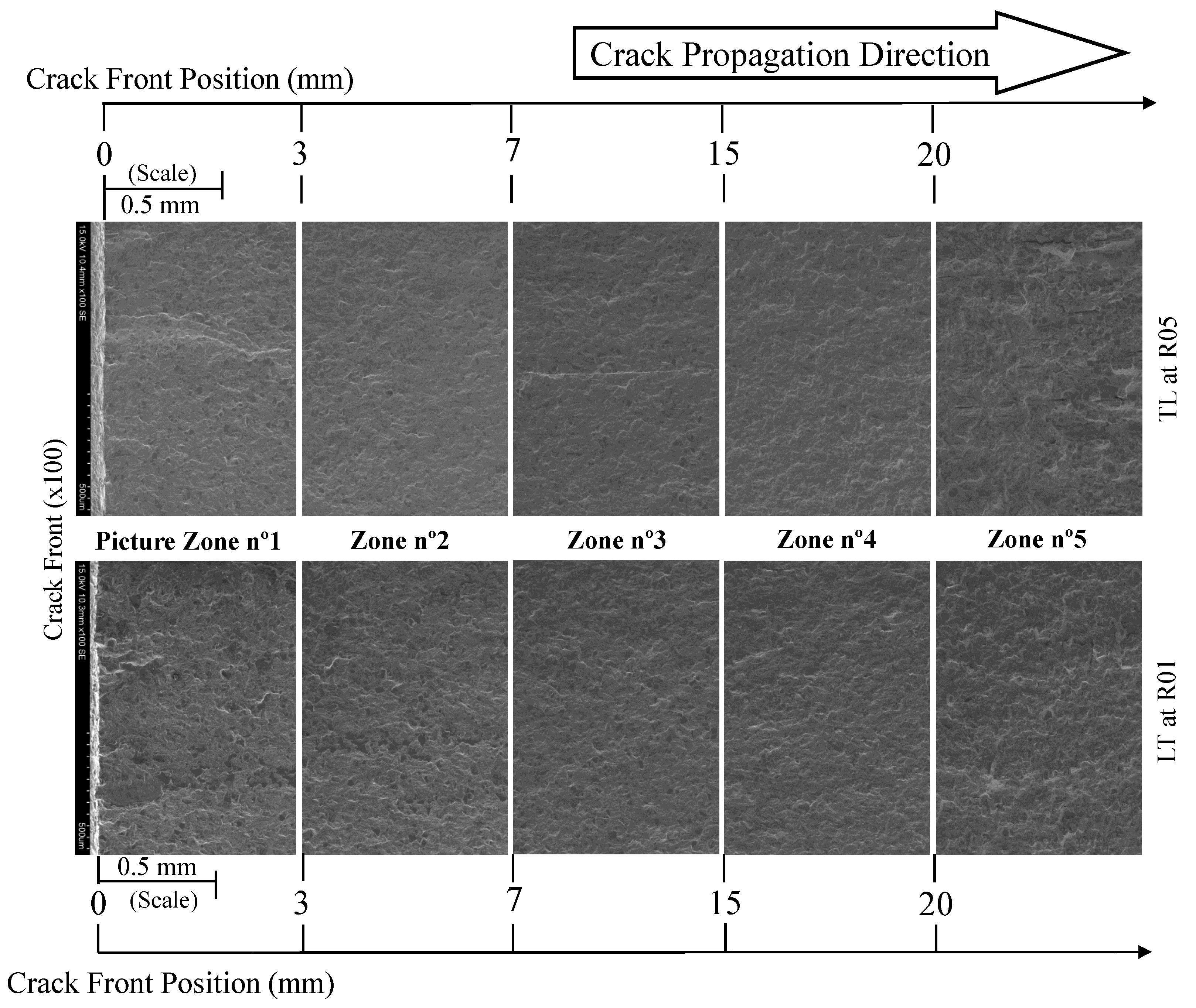 Preprints 103463 g016