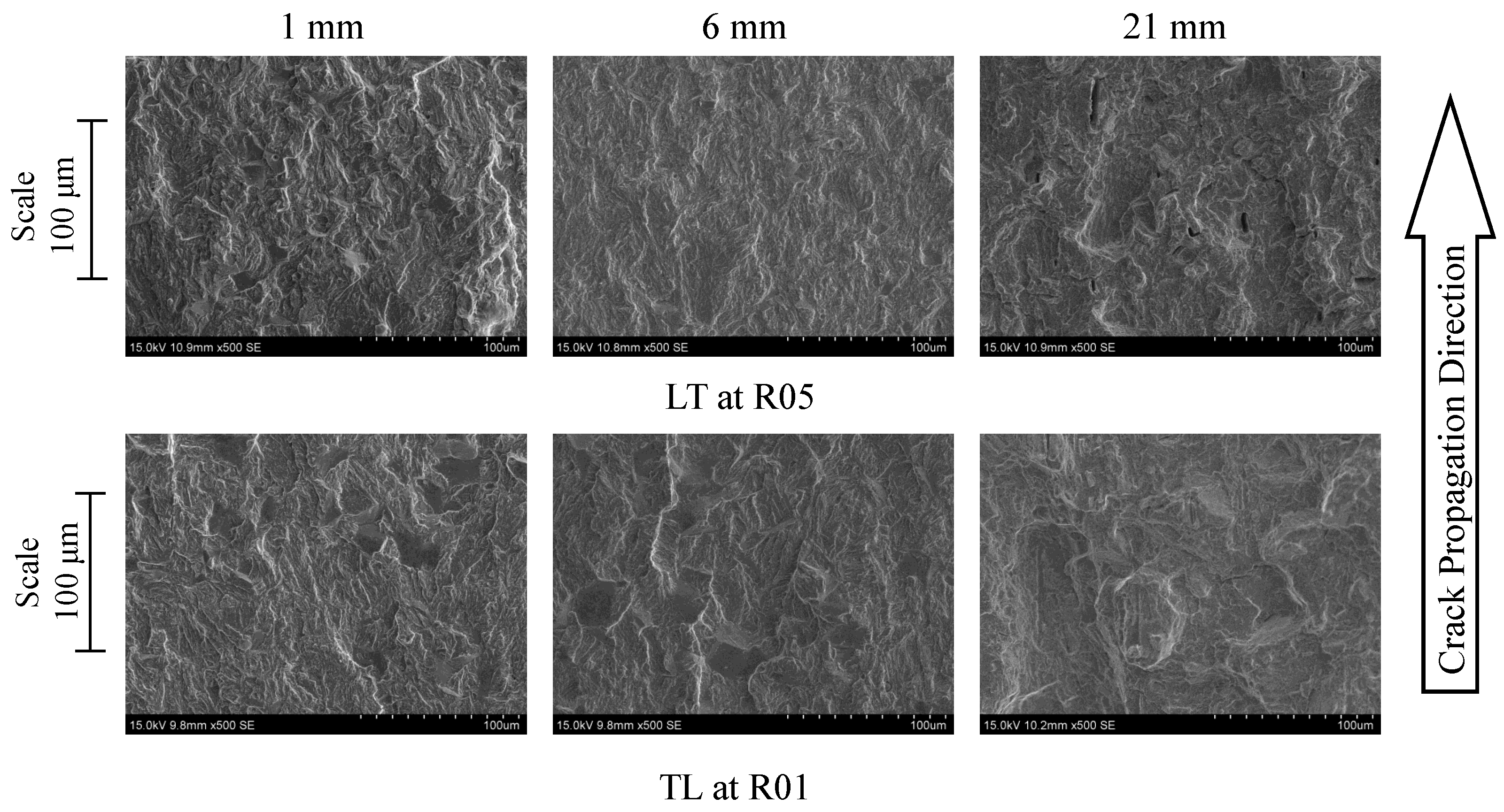 Preprints 103463 g017