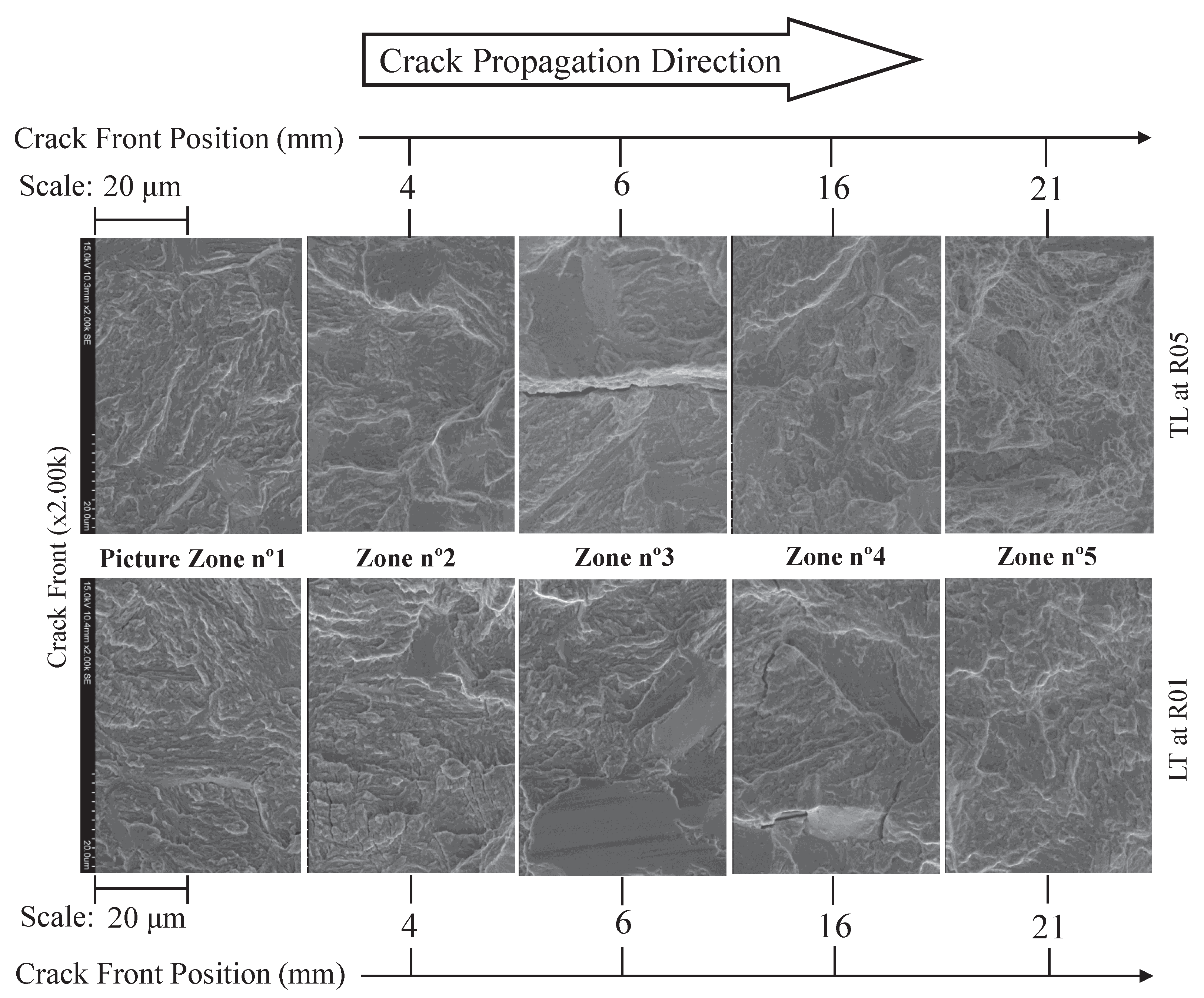 Preprints 103463 g018