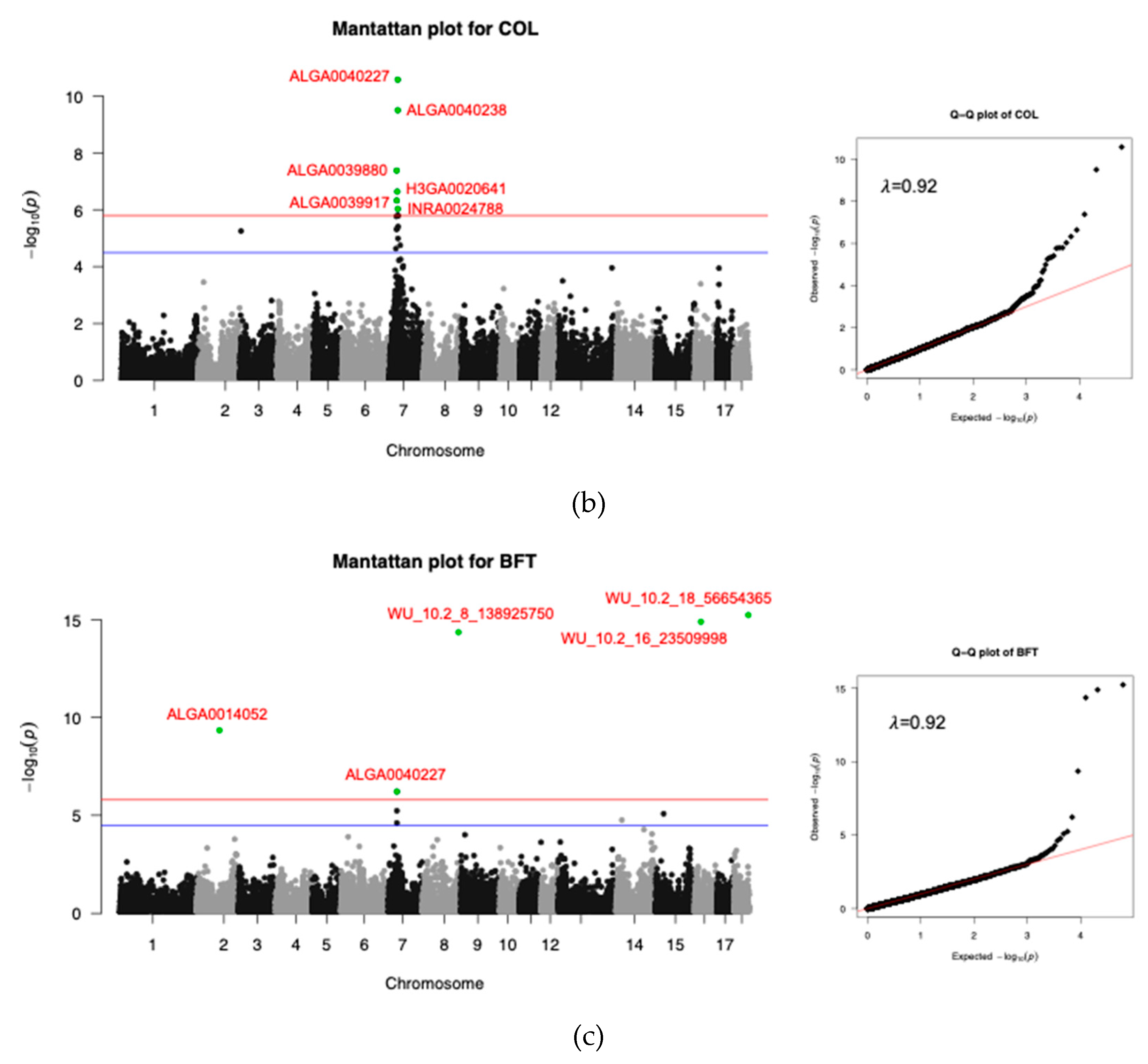 Preprints 73574 g001b