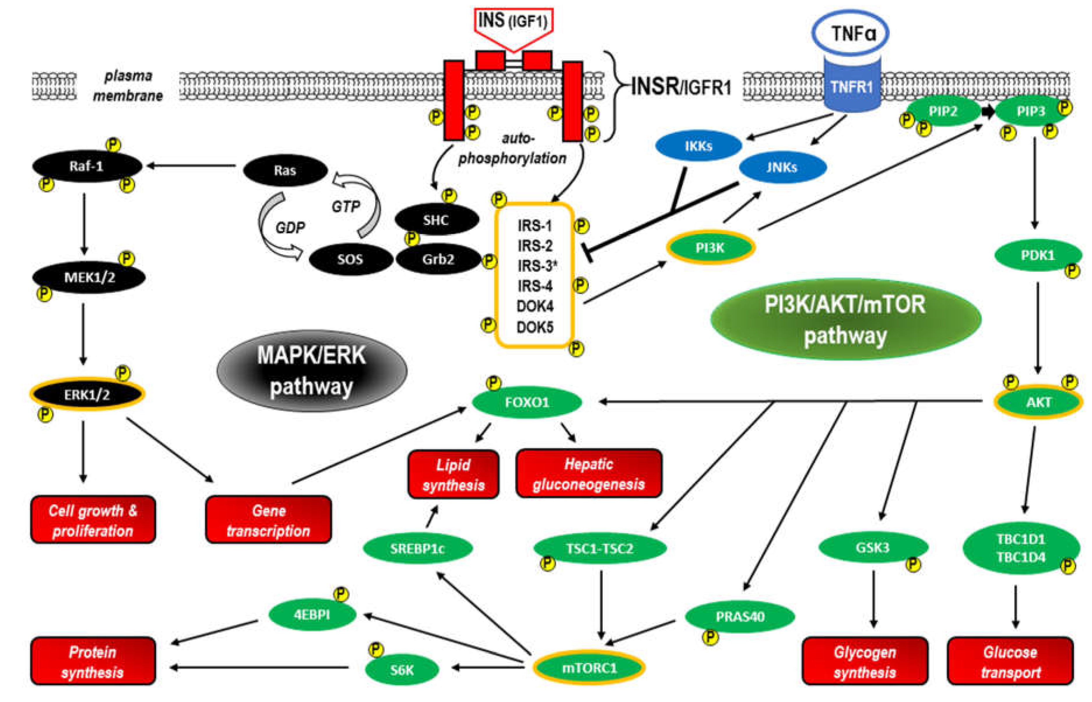 Preprints 73585 g003