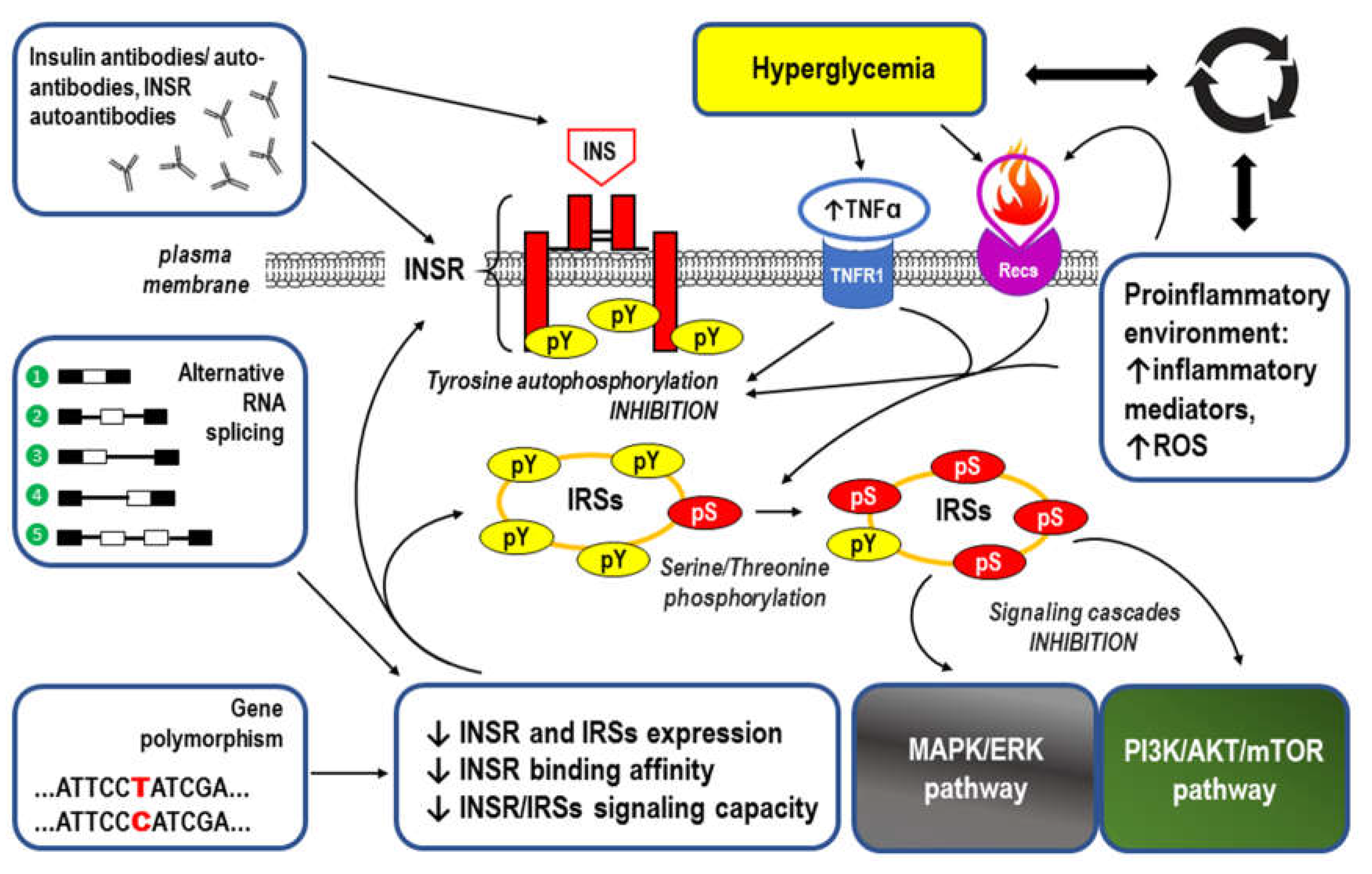 Preprints 73585 g004