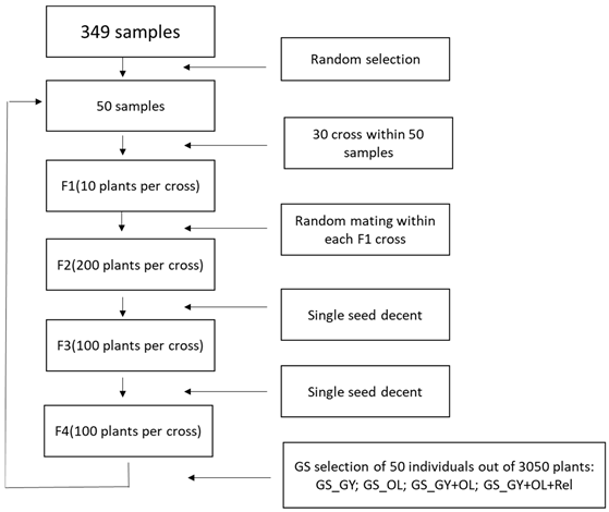 Preprints 105126 i001