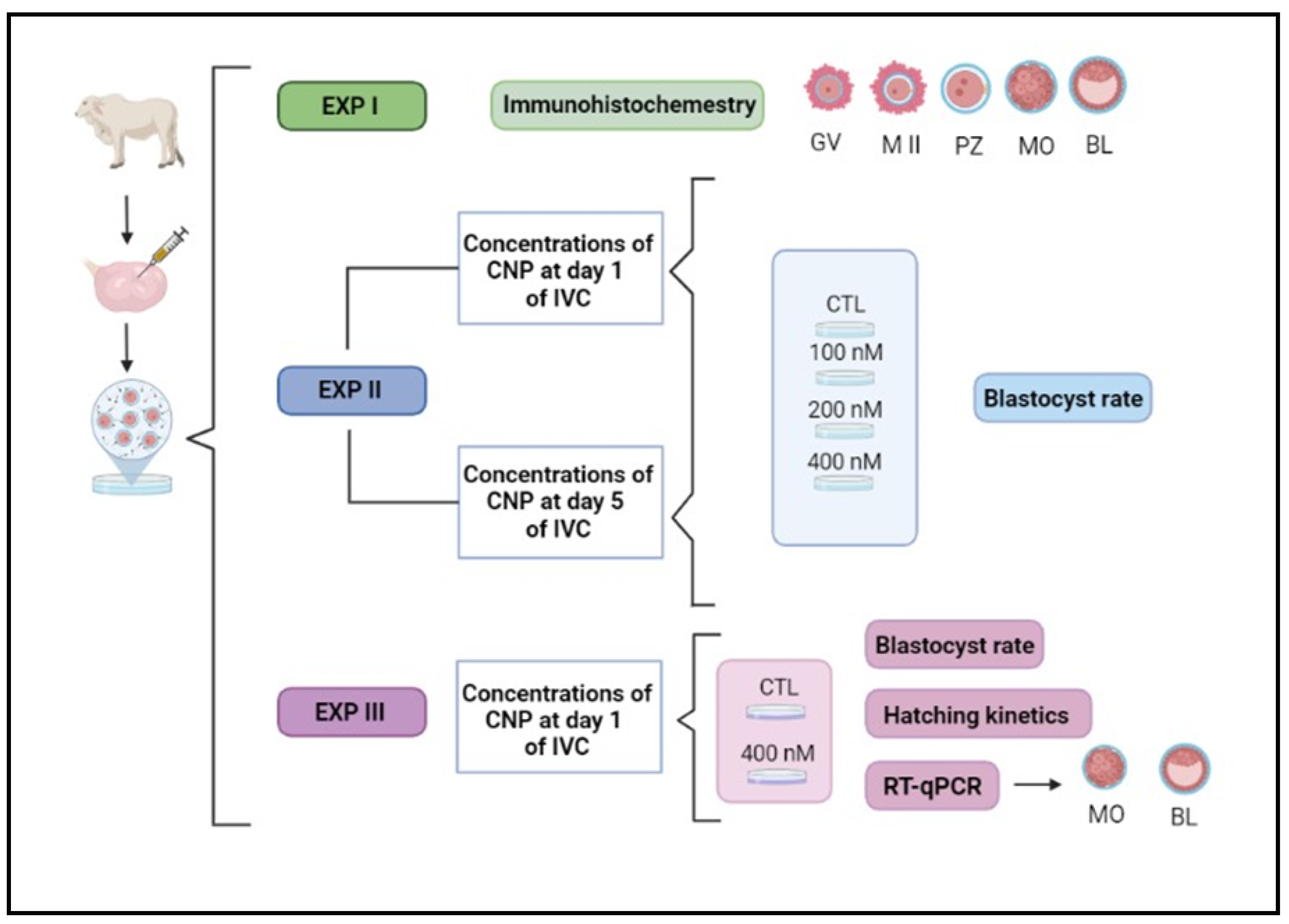 Preprints 117010 g001