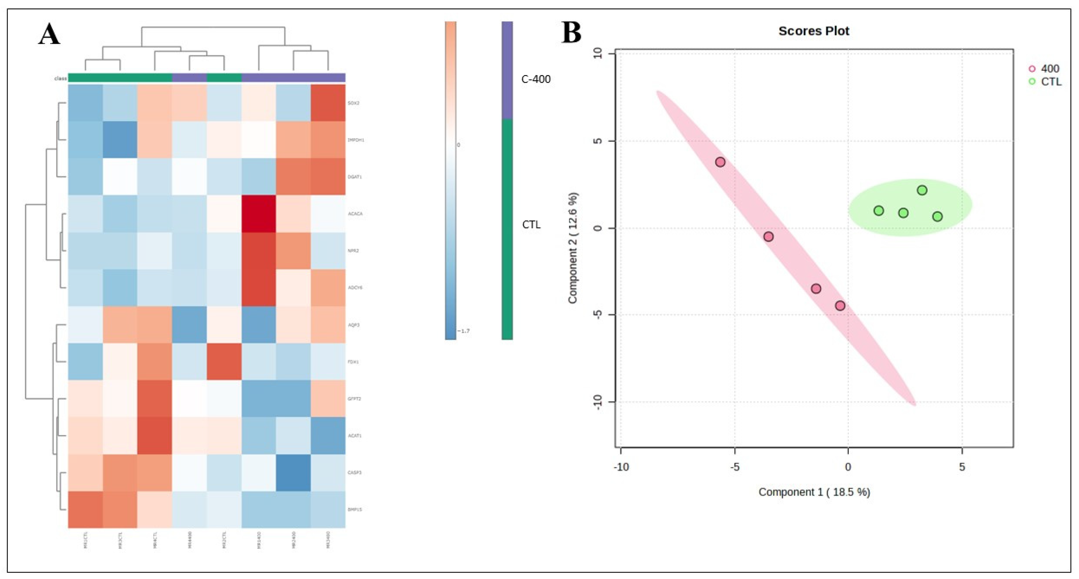 Preprints 117010 g005