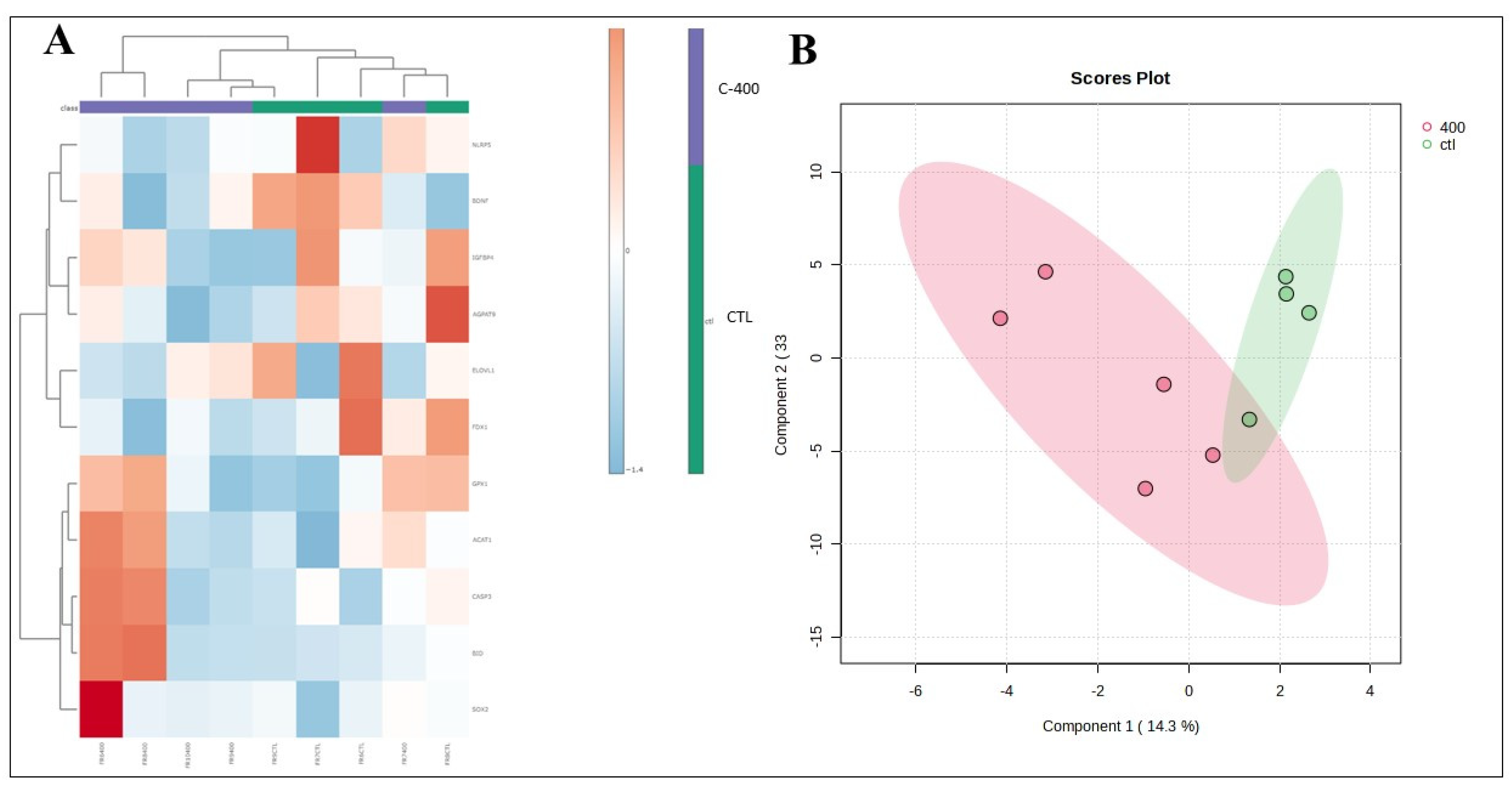 Preprints 117010 g006