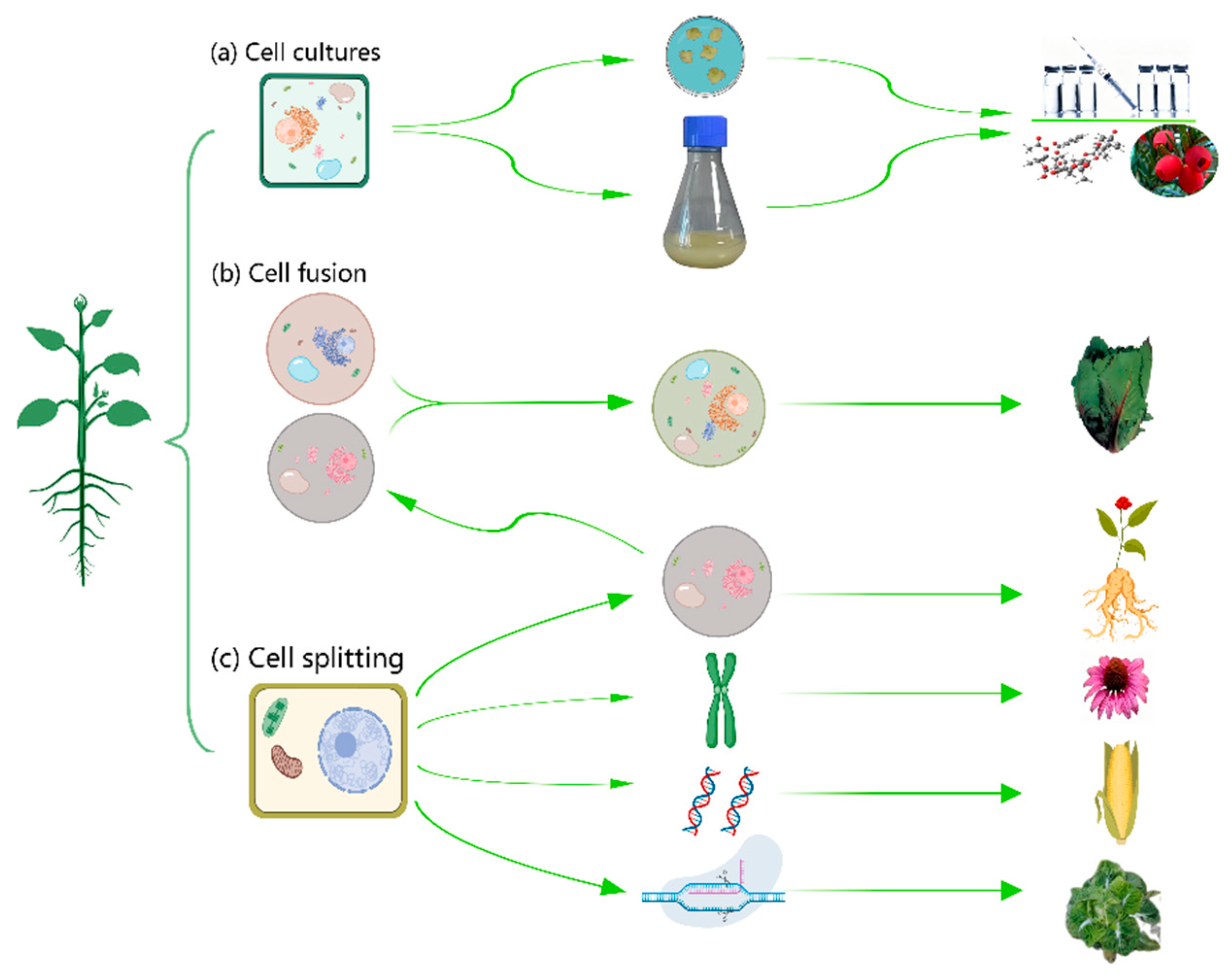 Preprints 83803 g001