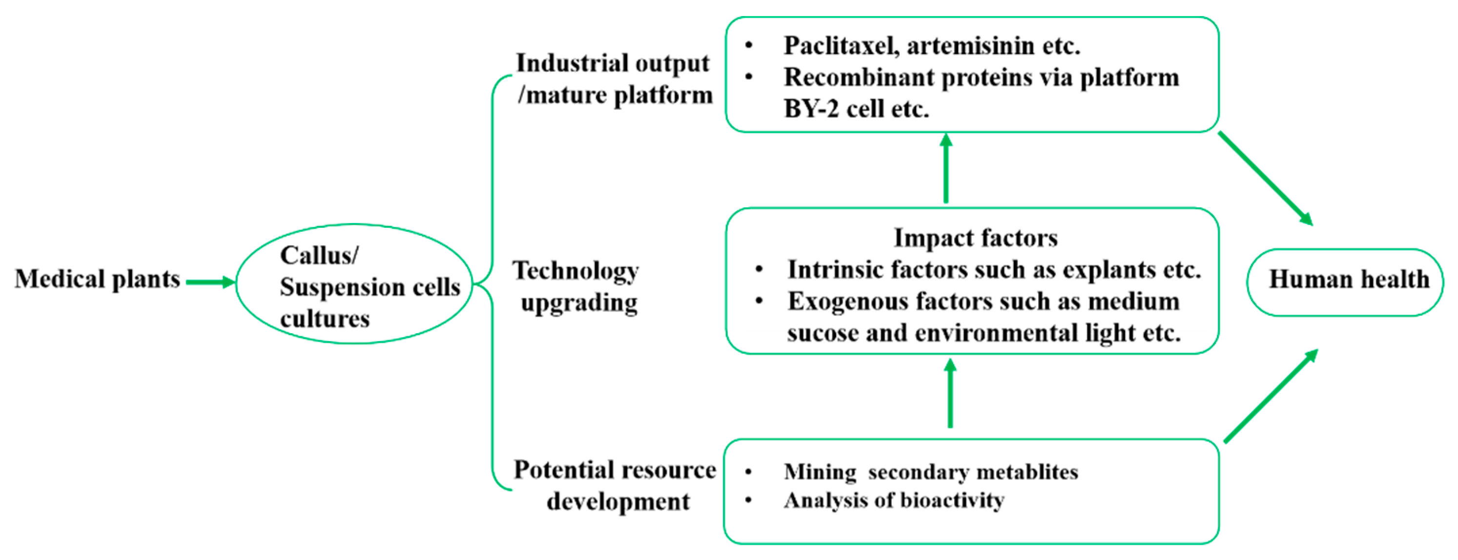 Preprints 83803 g002