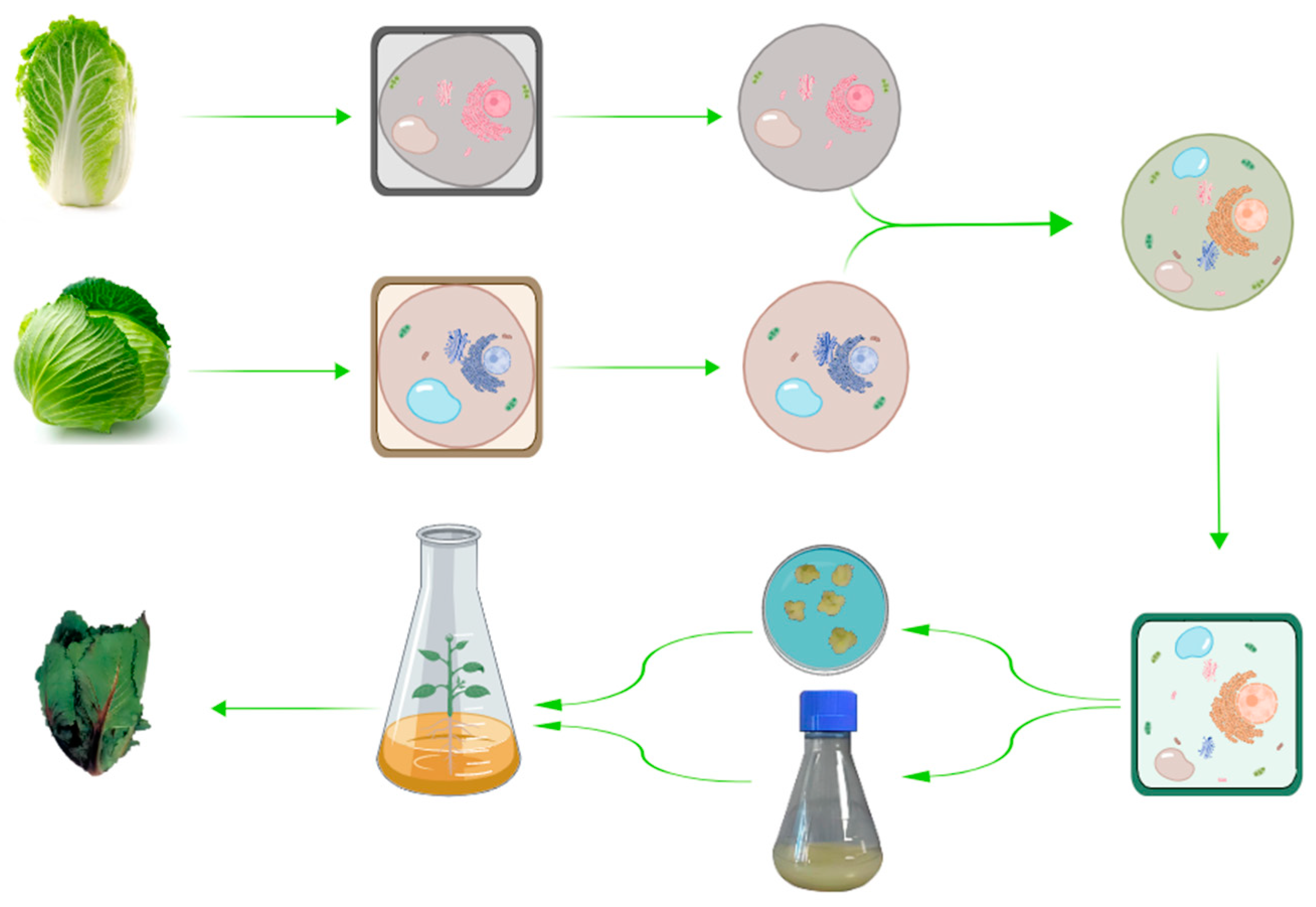 Preprints 83803 g003