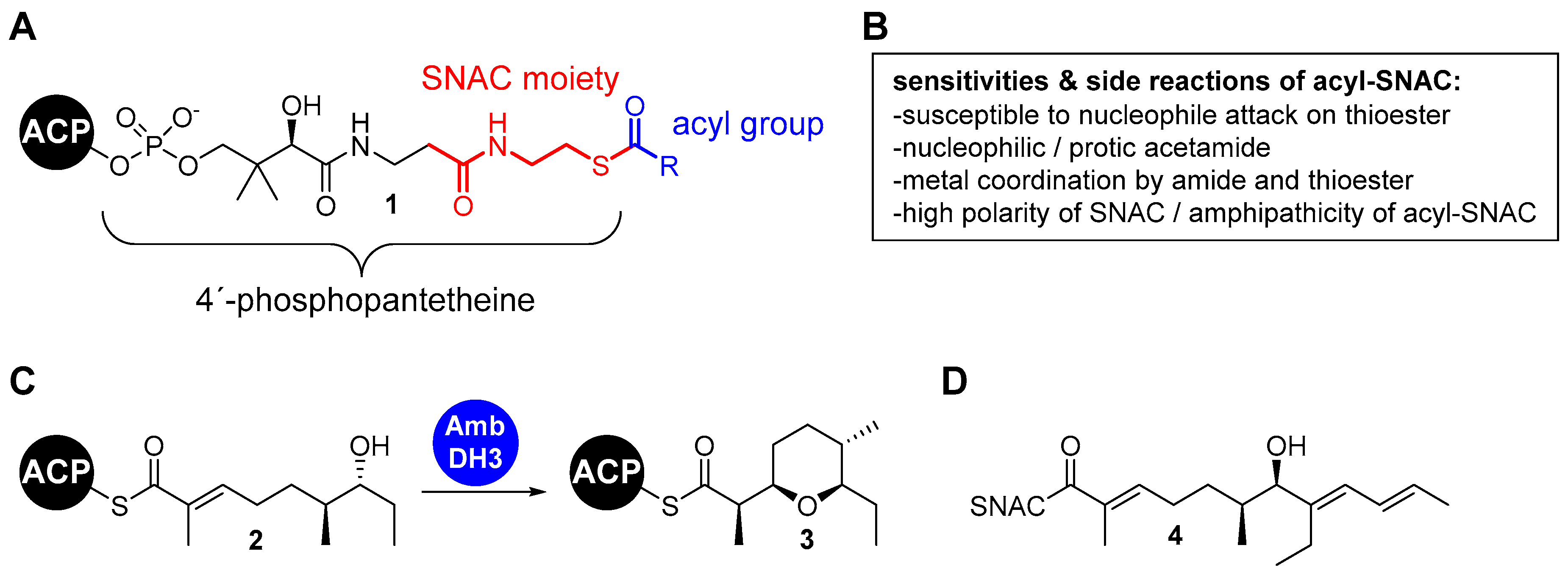 Preprints 72846 g001