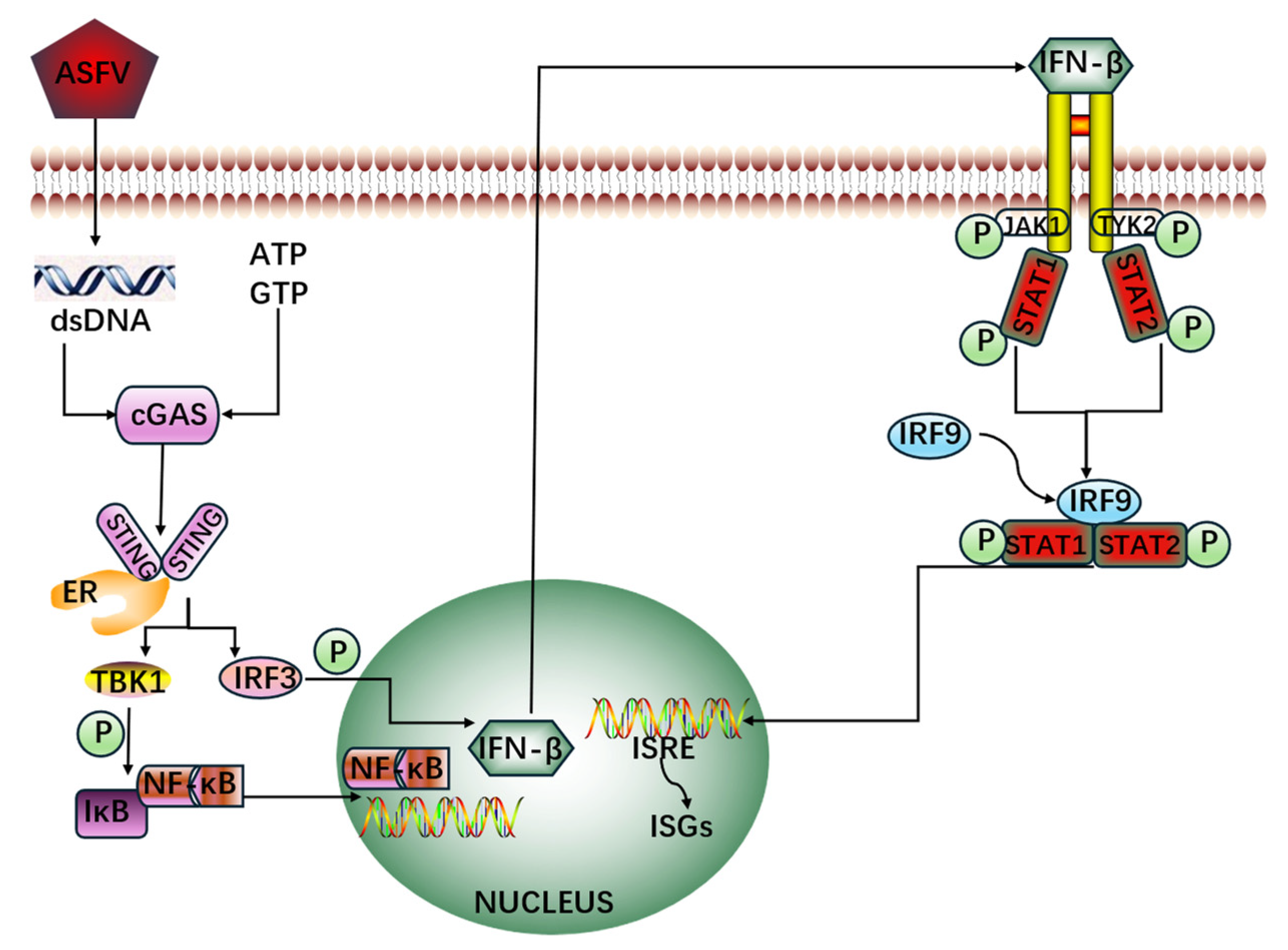 Preprints 109336 g001