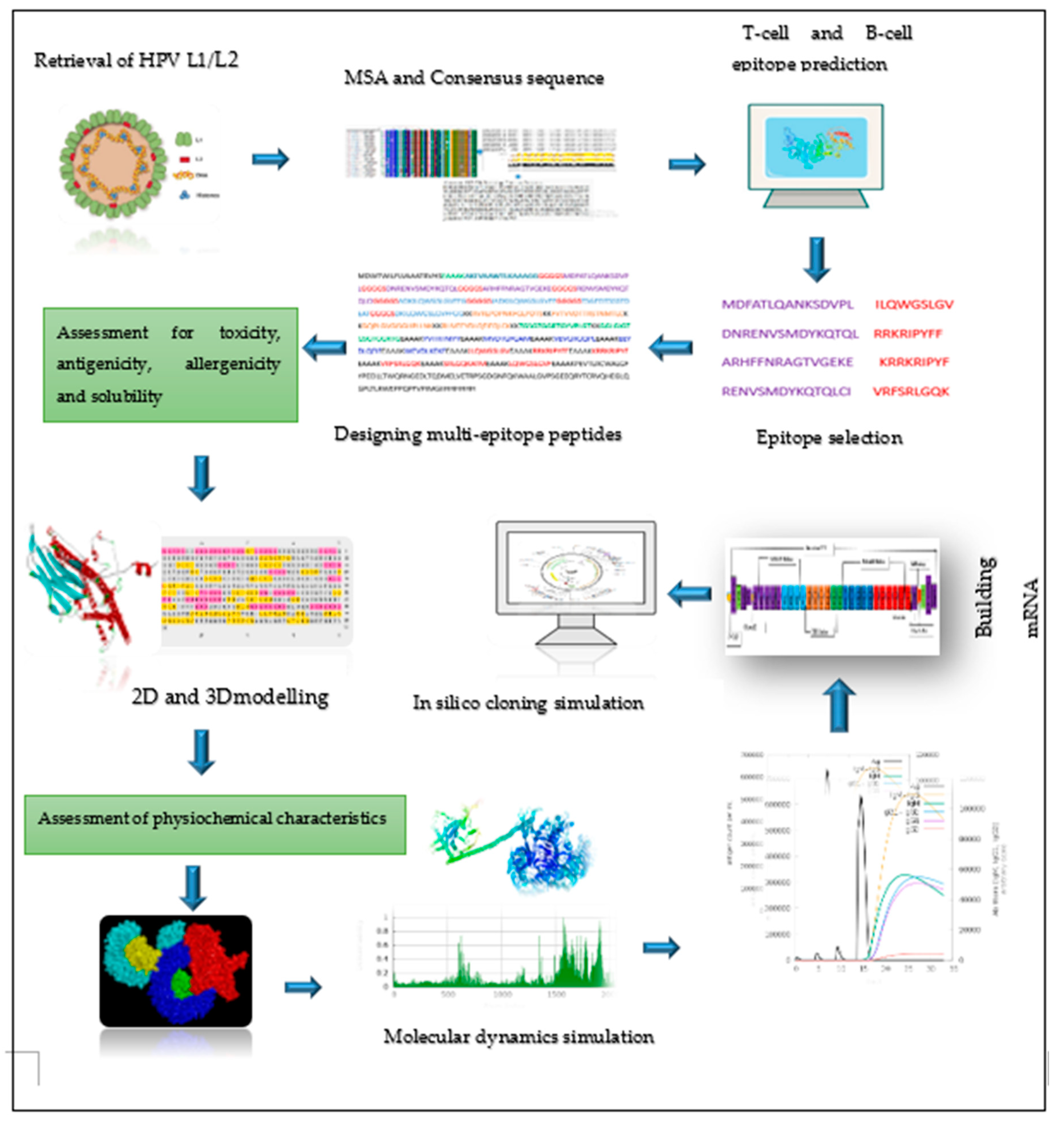 Preprints 121298 g001b