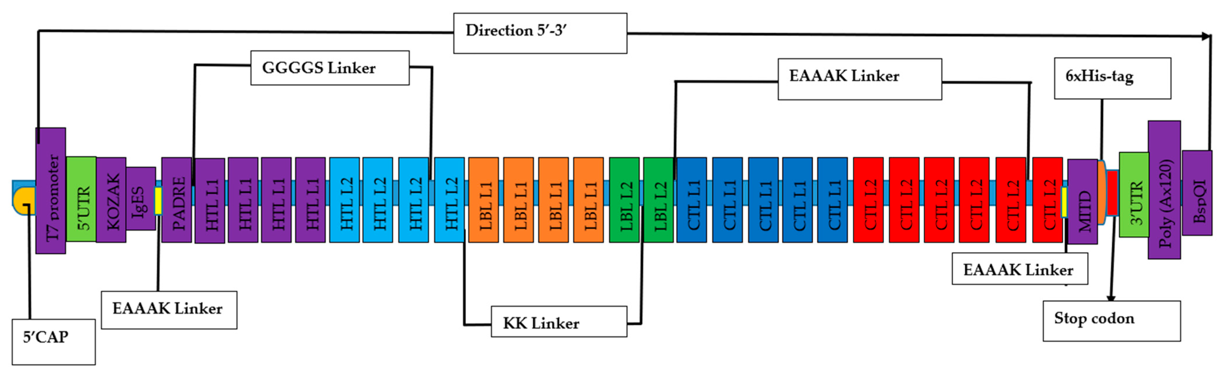 Preprints 121298 g003