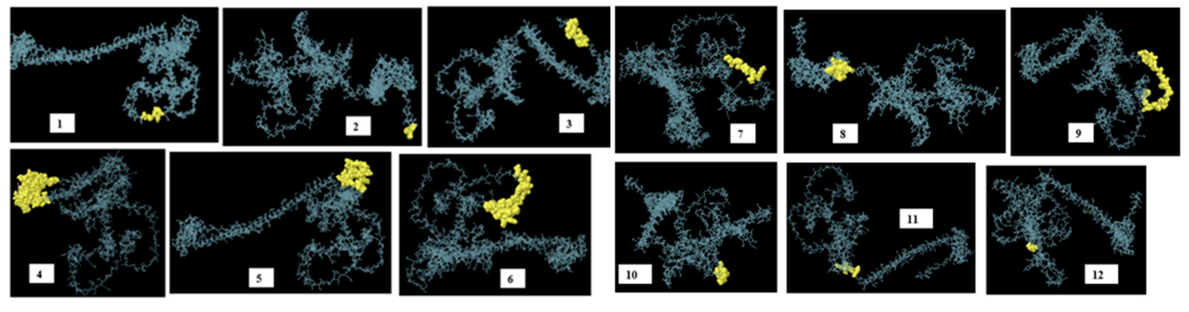 Preprints 121298 g006