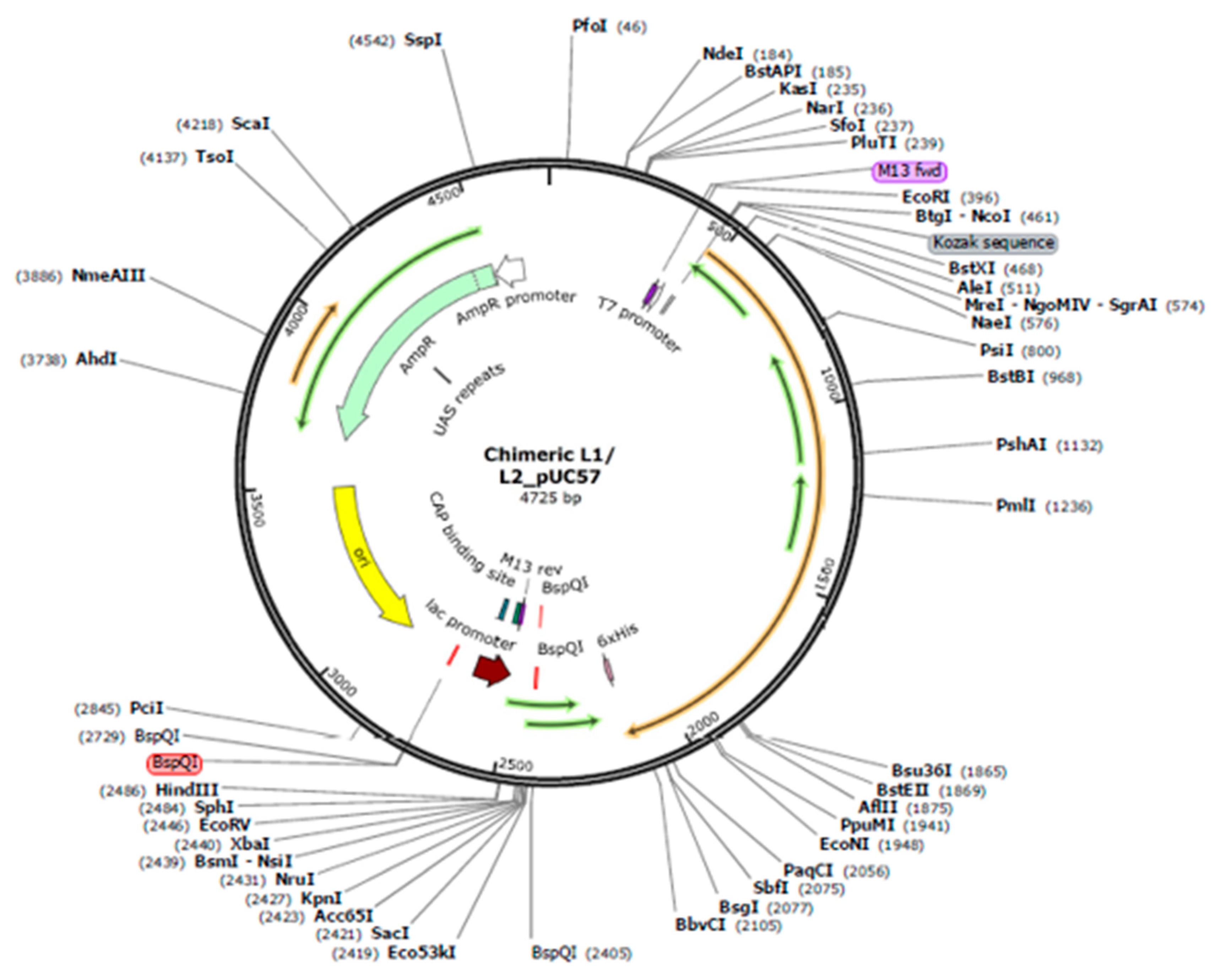 Preprints 121298 g010