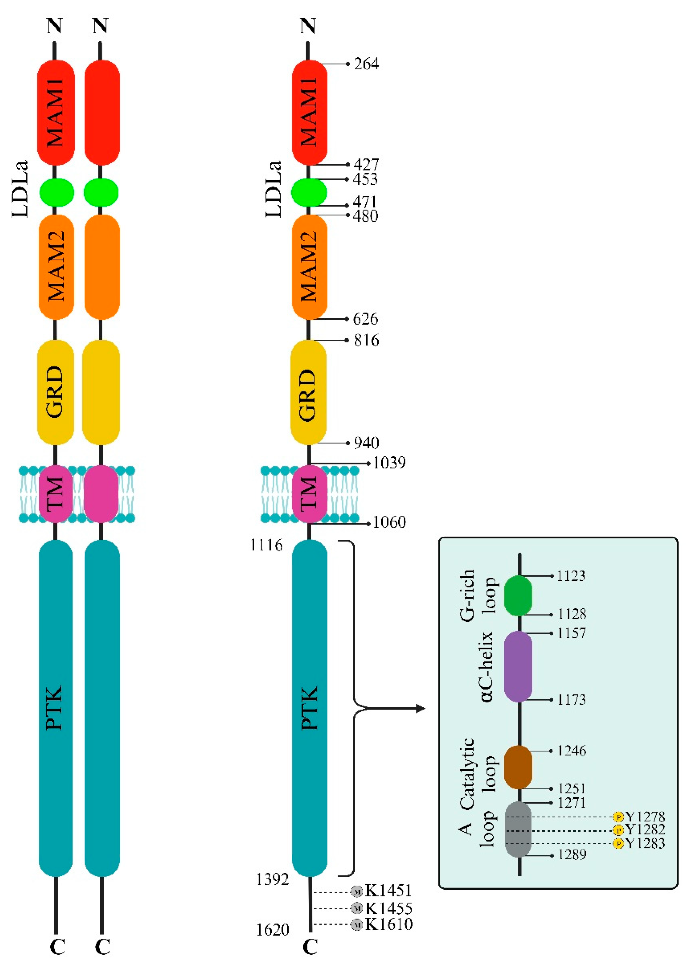 Preprints 95686 g001