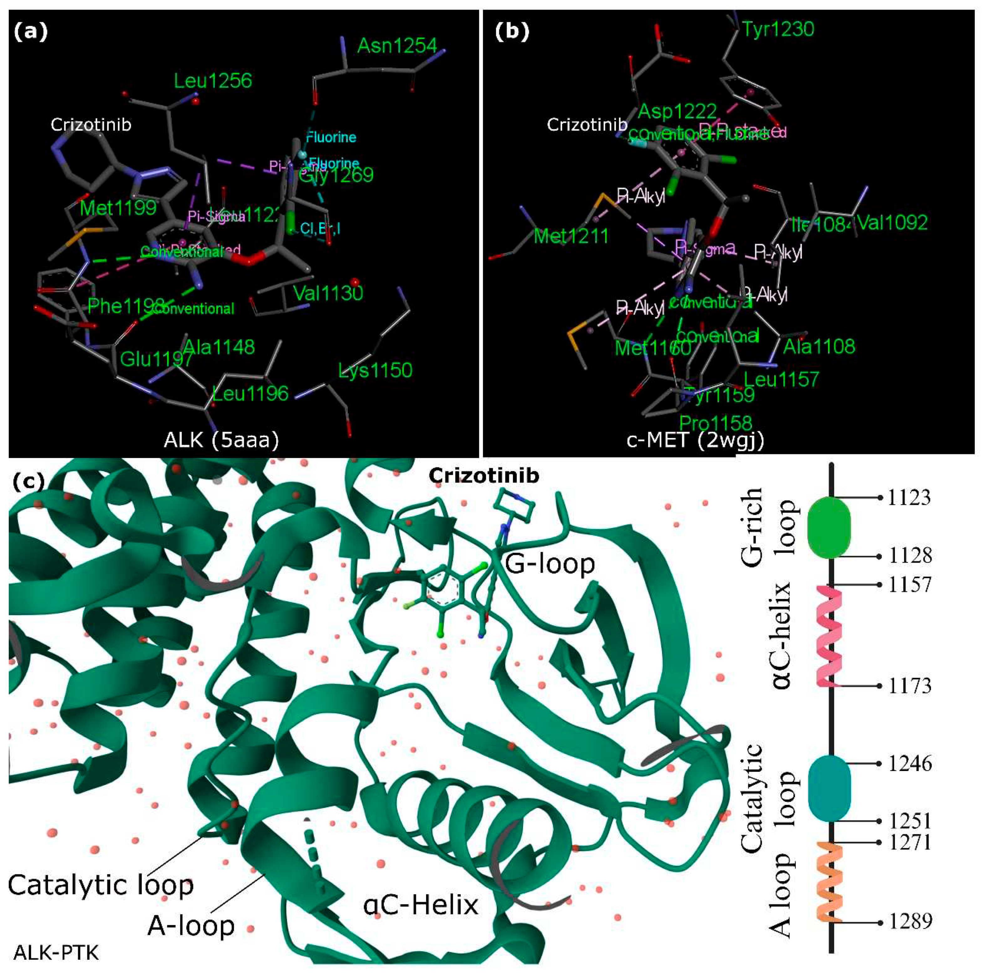 Preprints 95686 g002