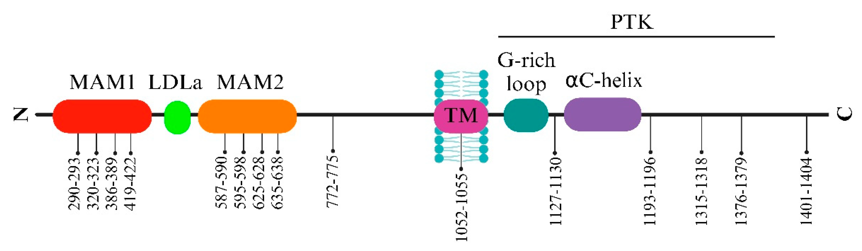 Preprints 95686 g003