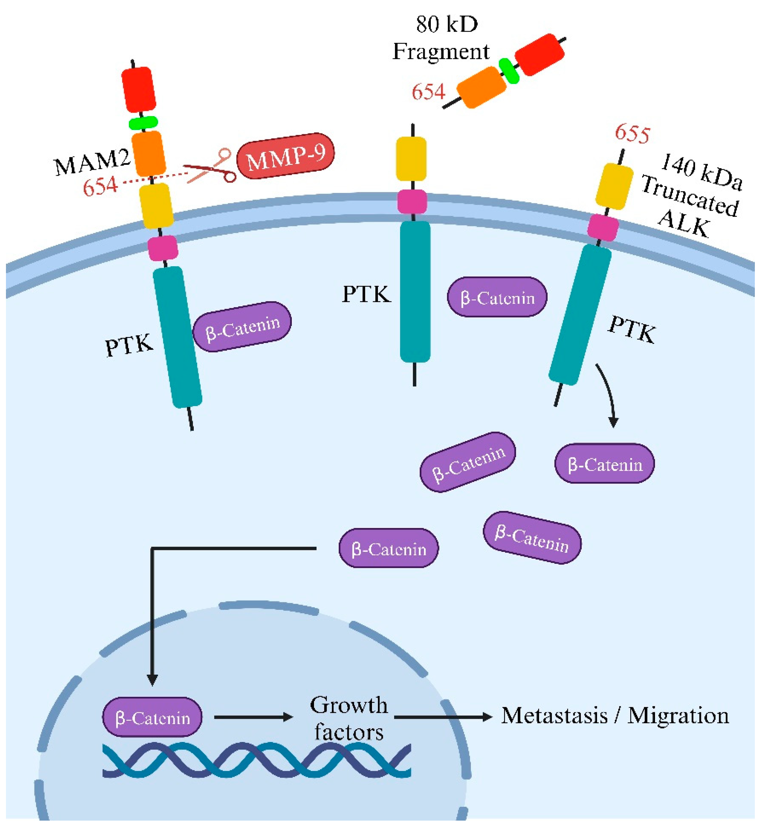 Preprints 95686 g004