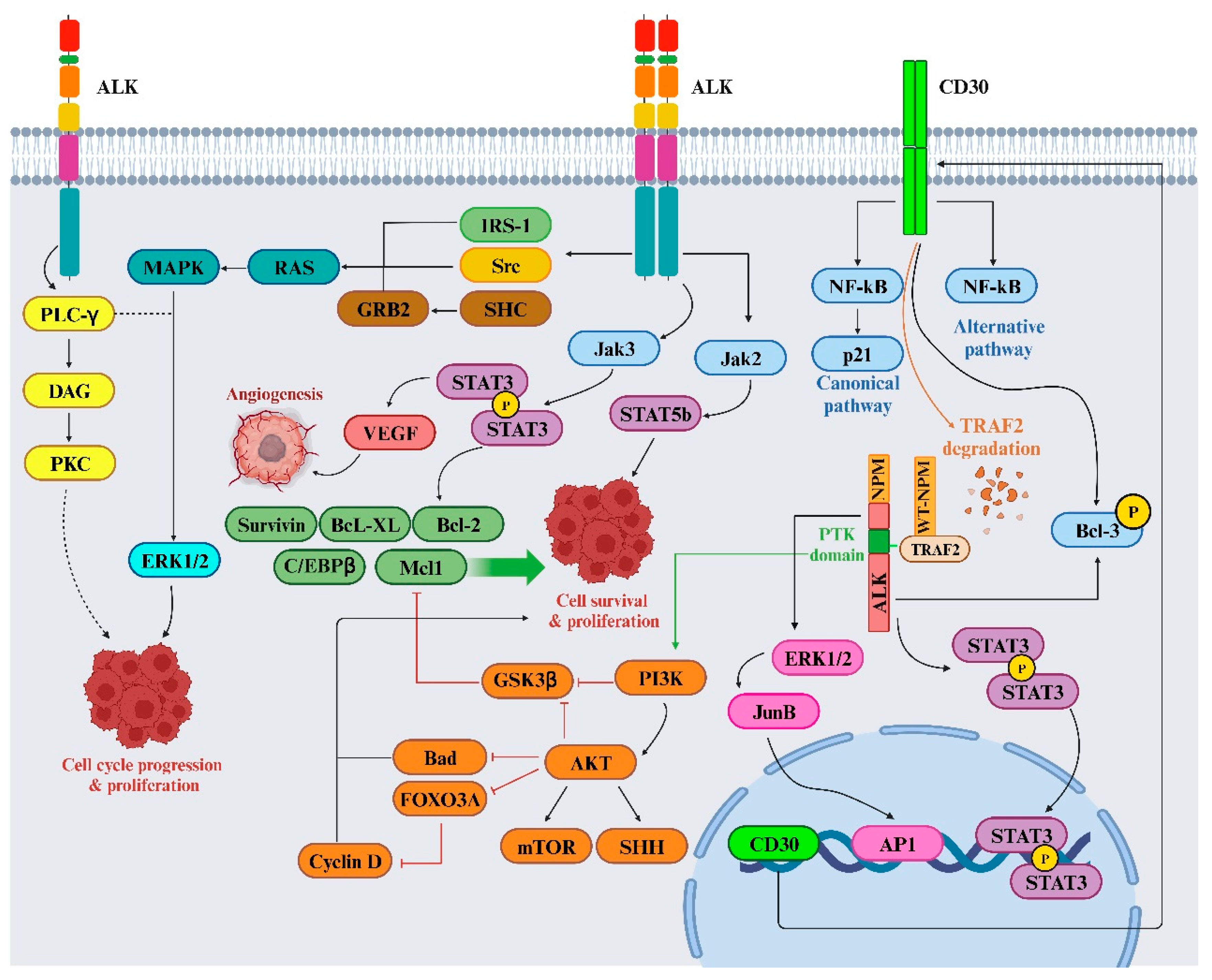 Preprints 95686 g005