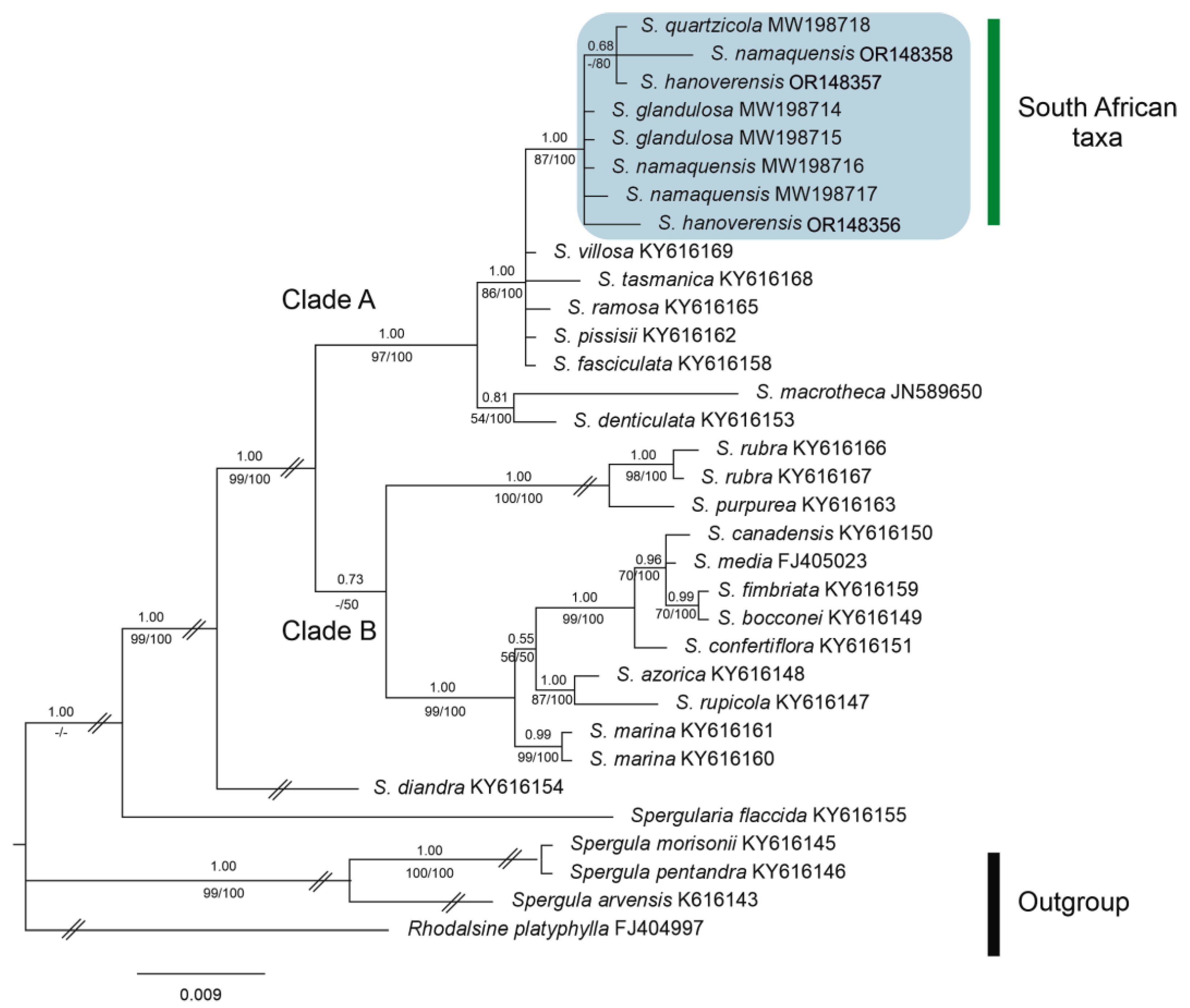 Preprints 74461 g003