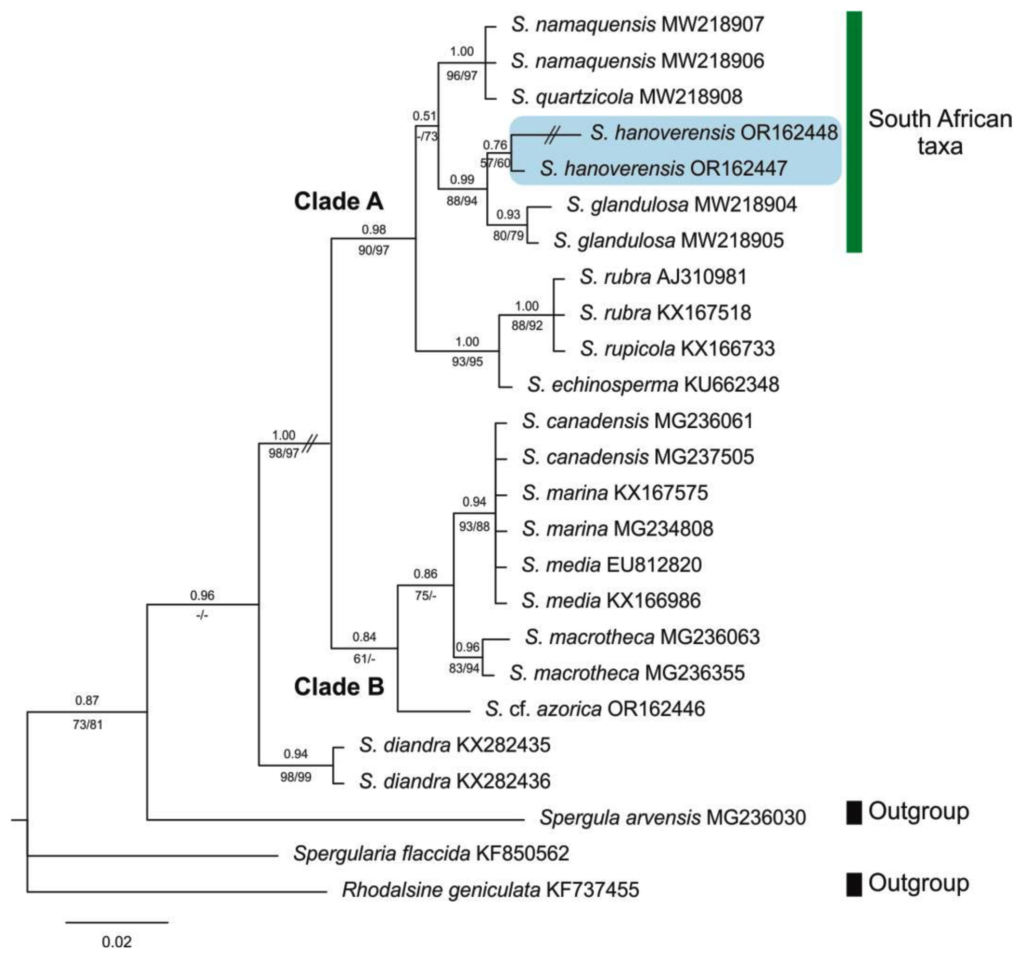 Preprints 74461 g004