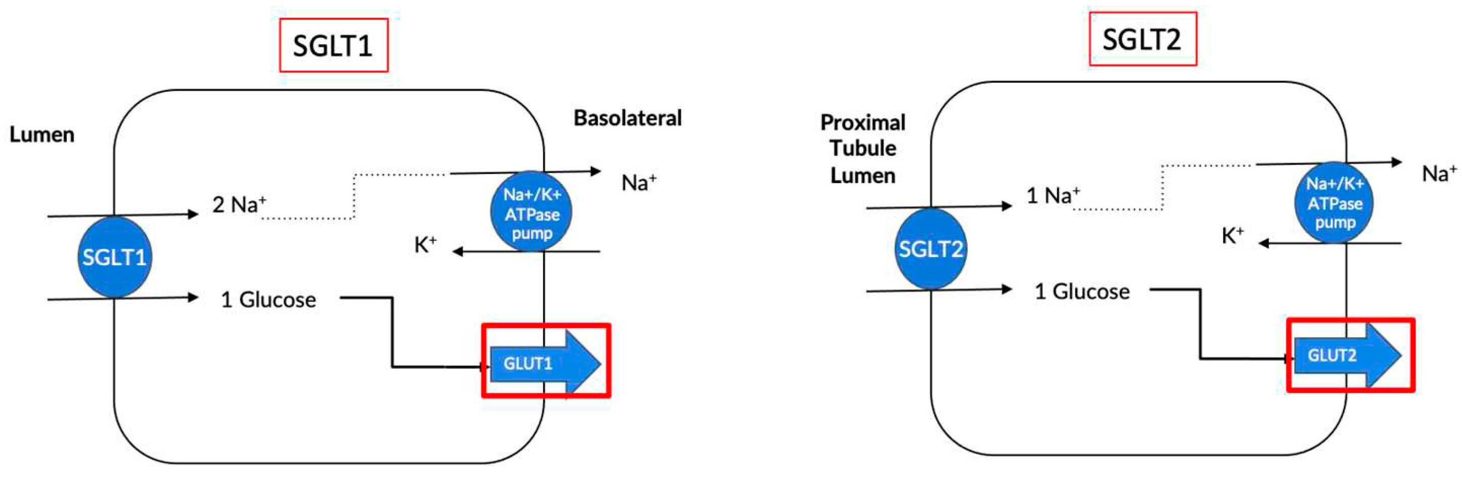 Preprints 82772 g001