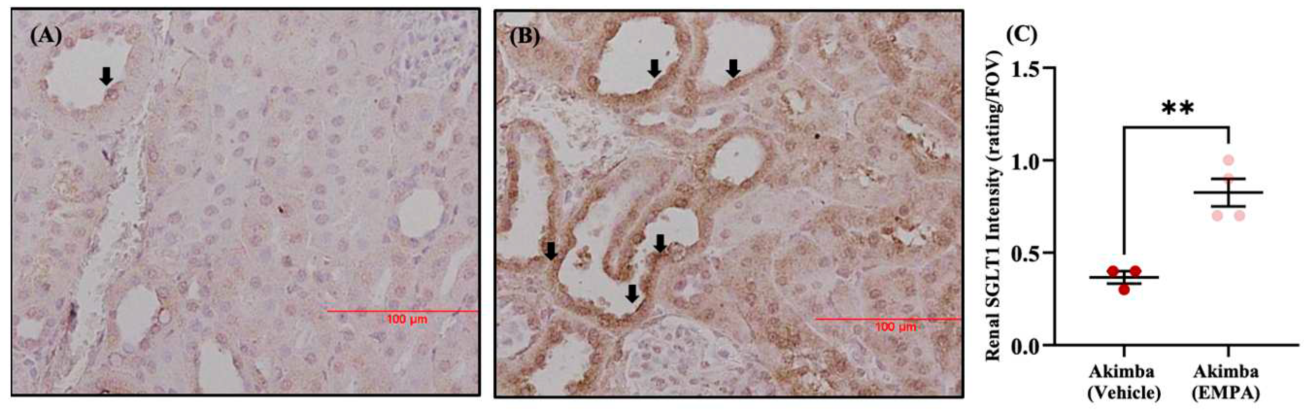 Preprints 82772 g004