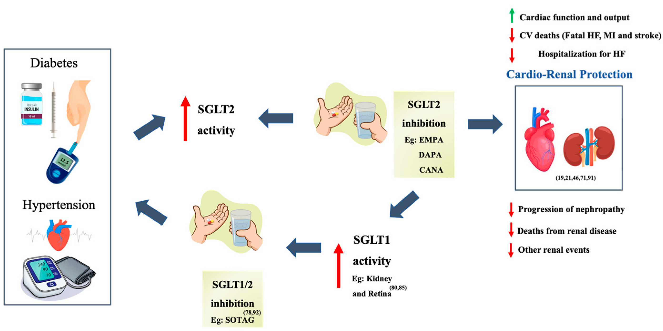 Preprints 82772 g005