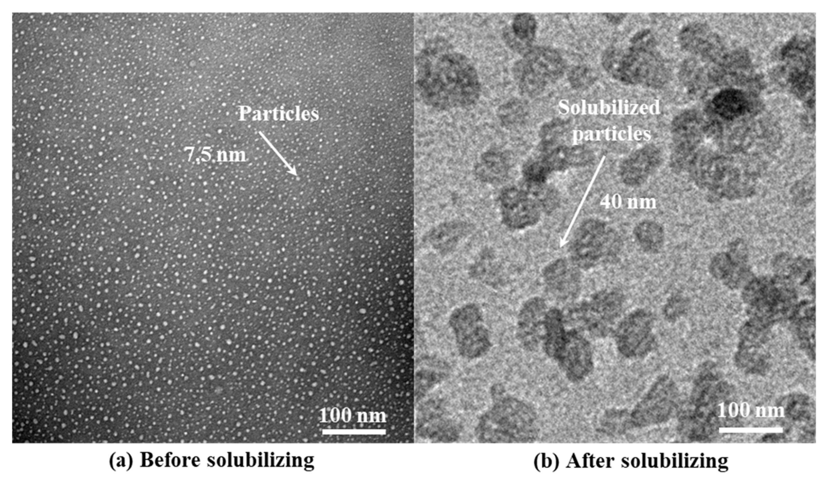 Preprints 83579 g010