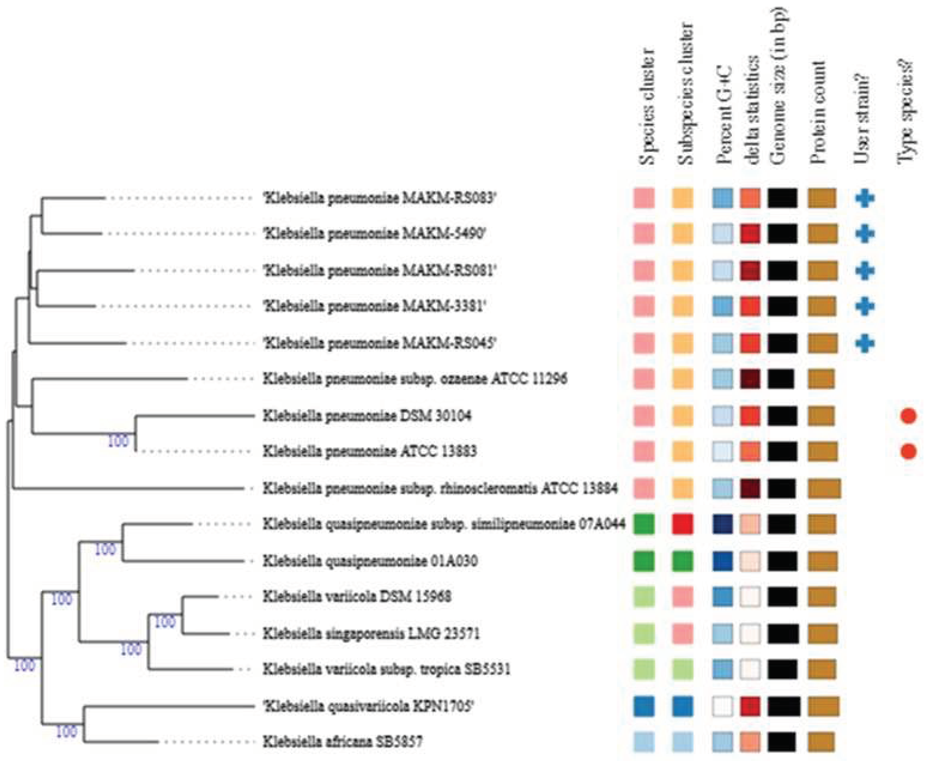 Preprints 95732 g001