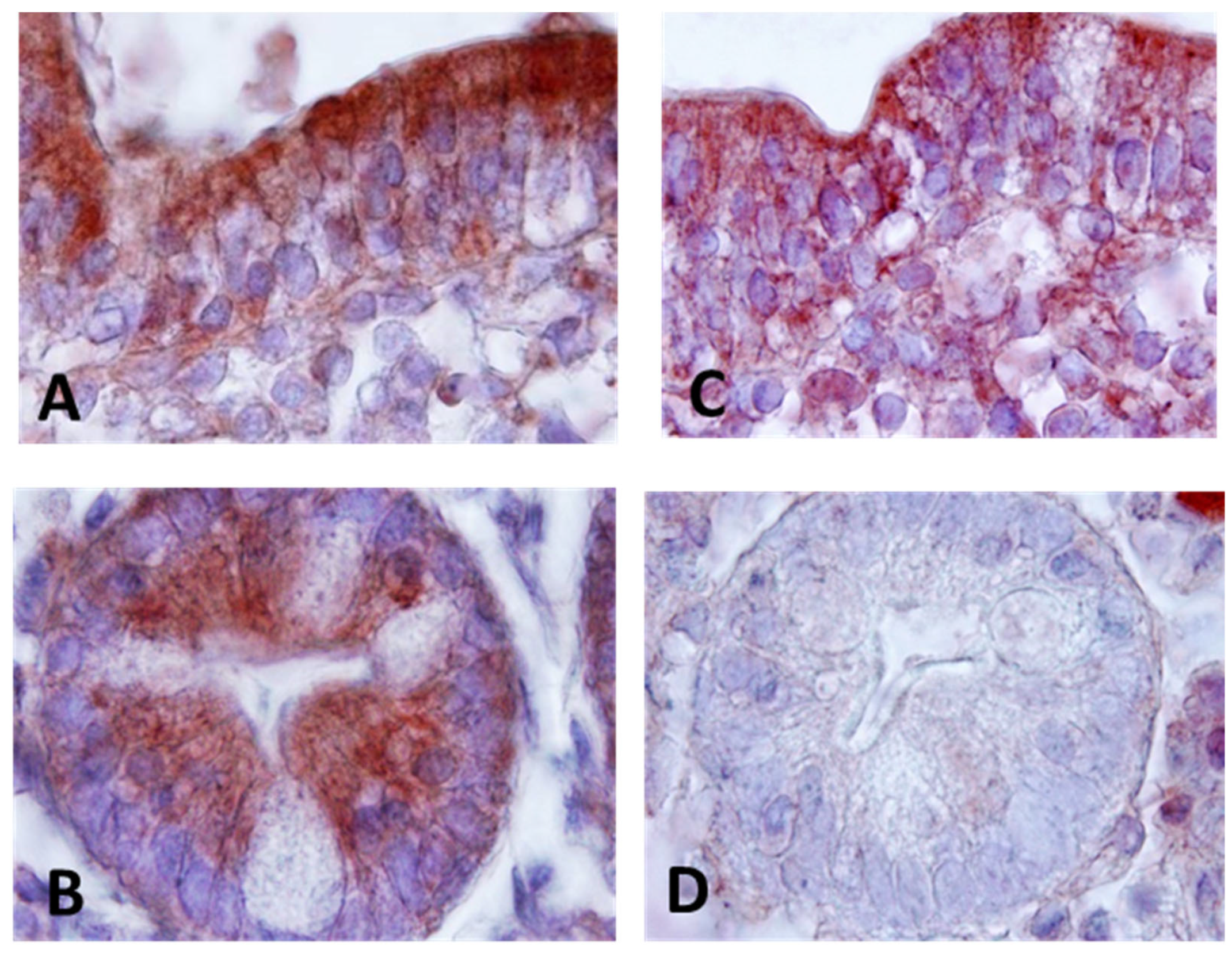 Preprints 91729 g001