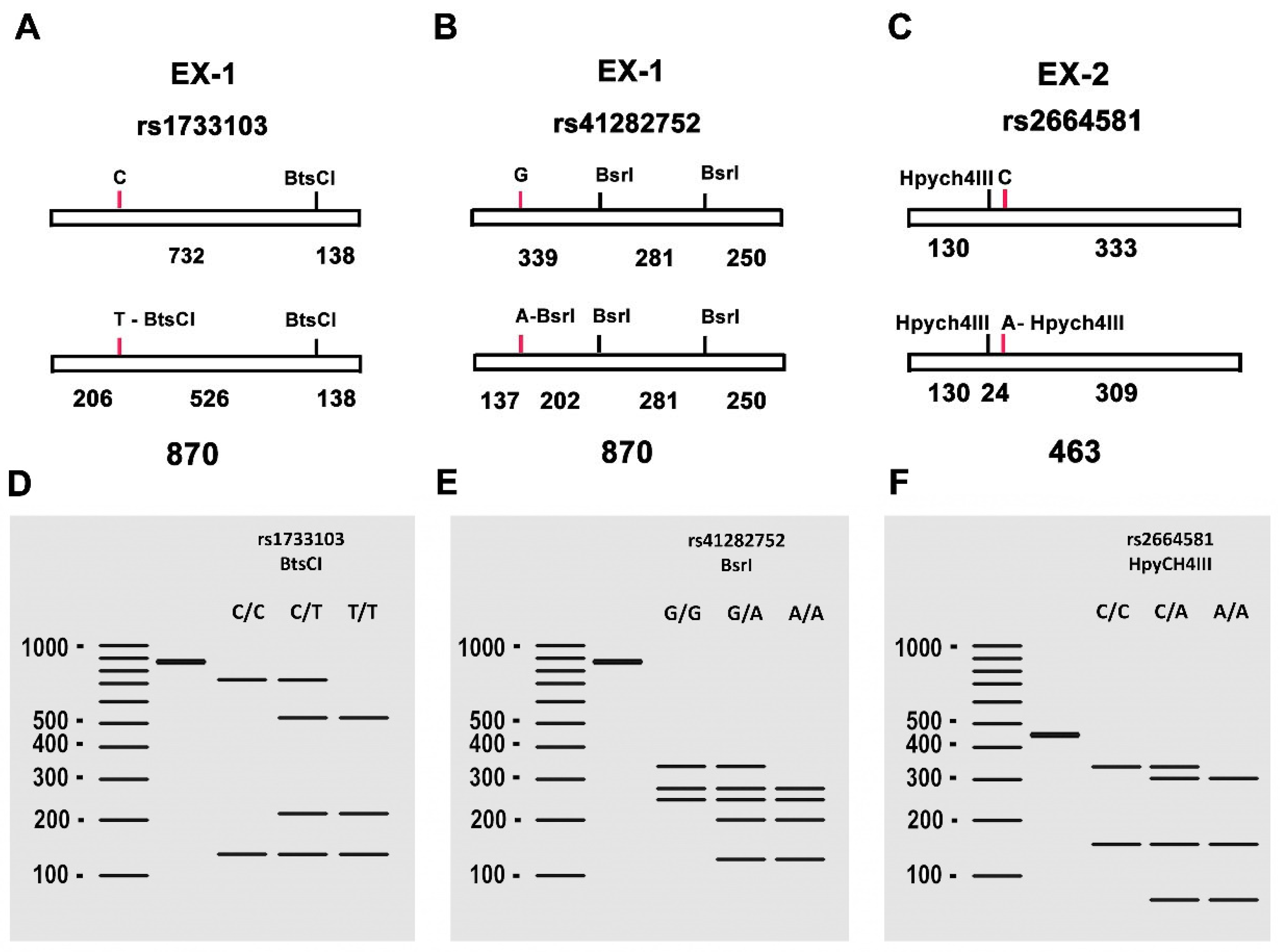 Preprints 91729 g008