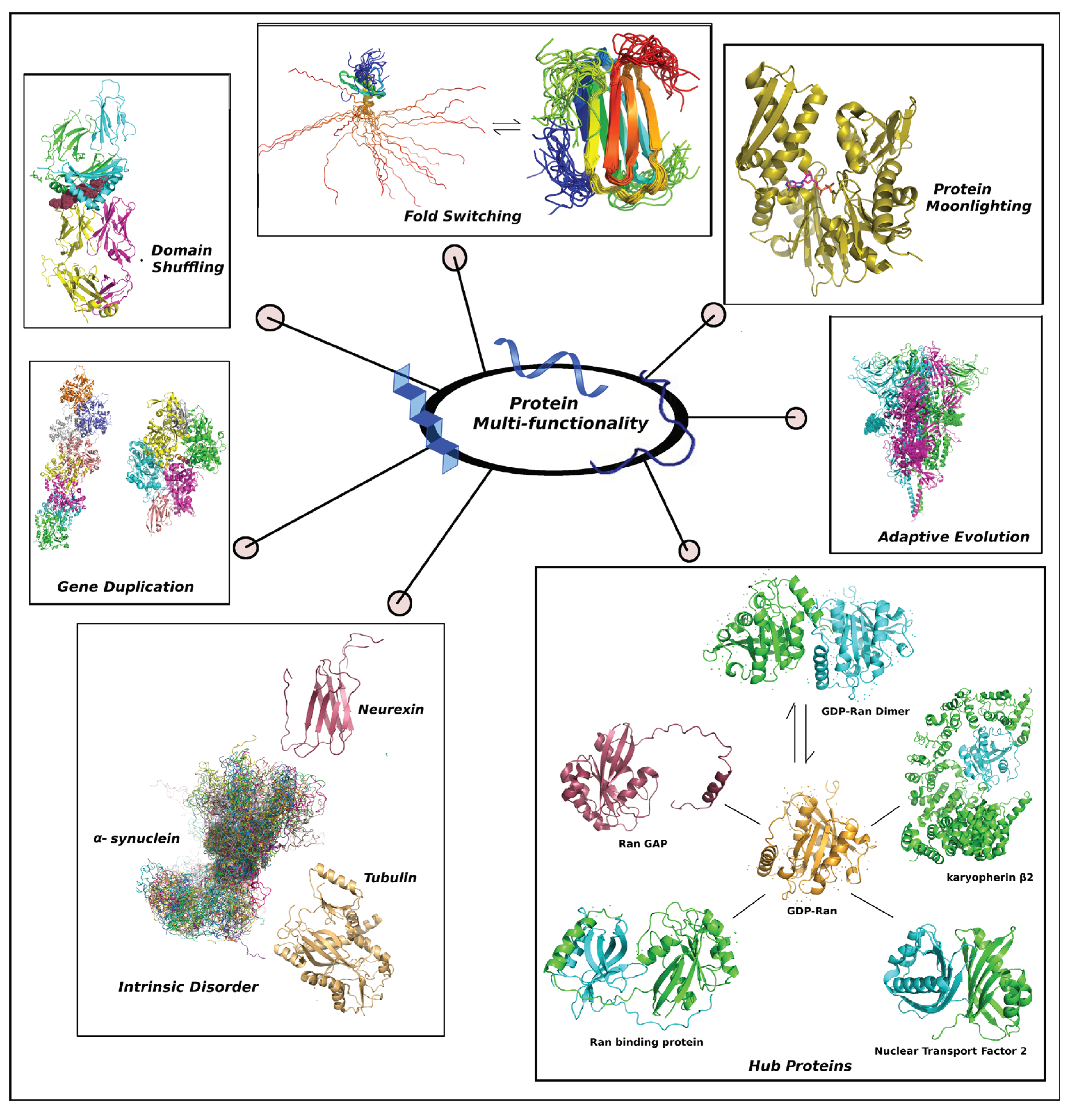 Preprints 99428 g001