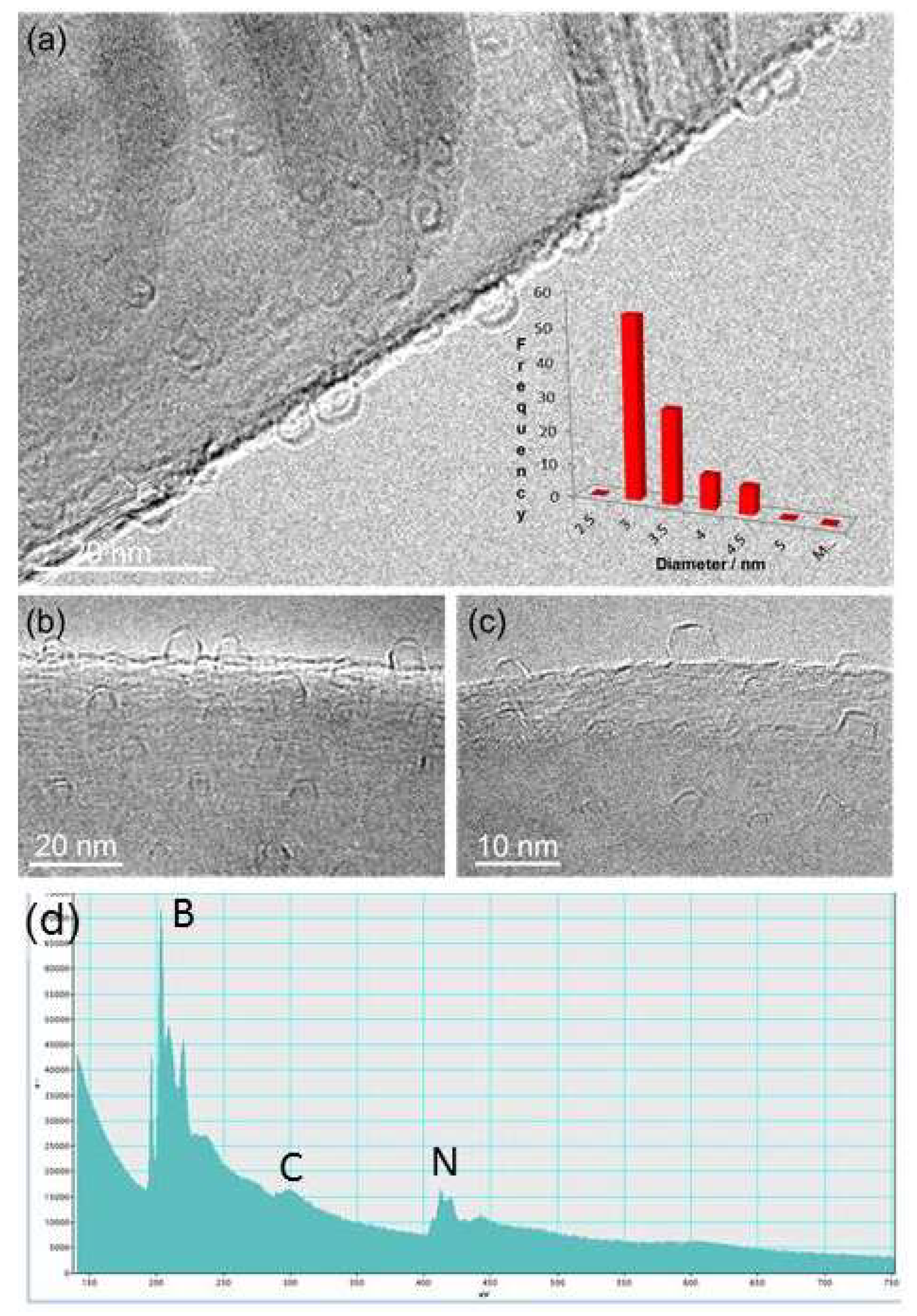 Preprints 85810 g004