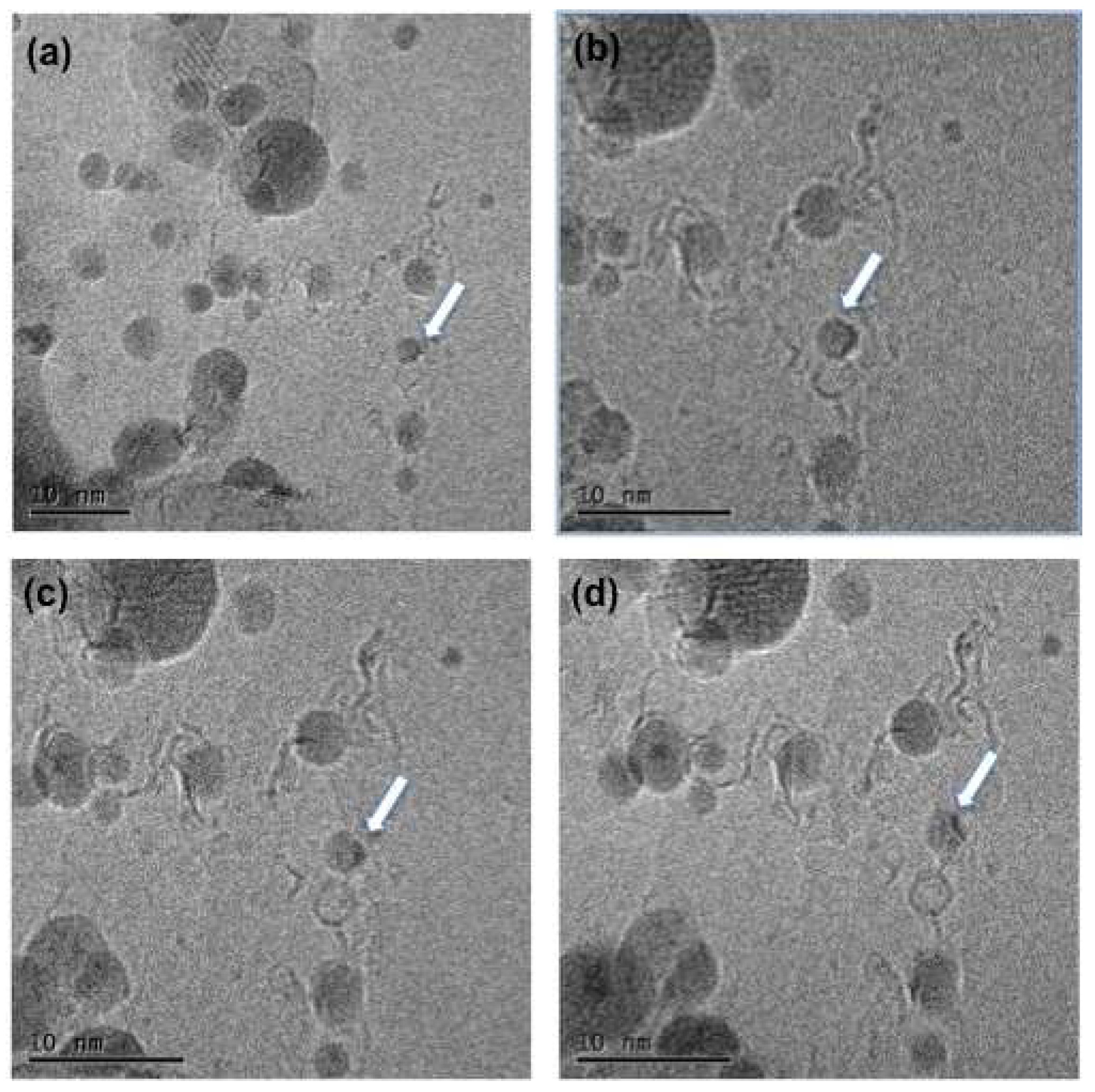 Preprints 85810 g005