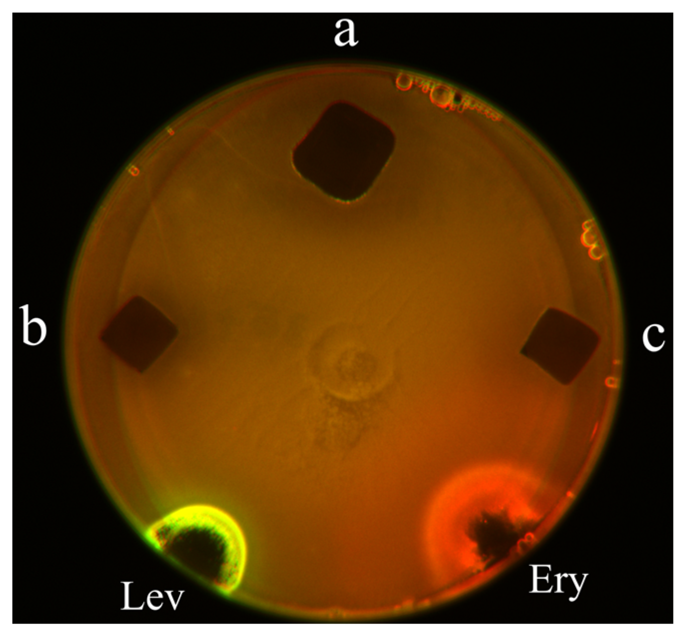 Preprints 88803 g002