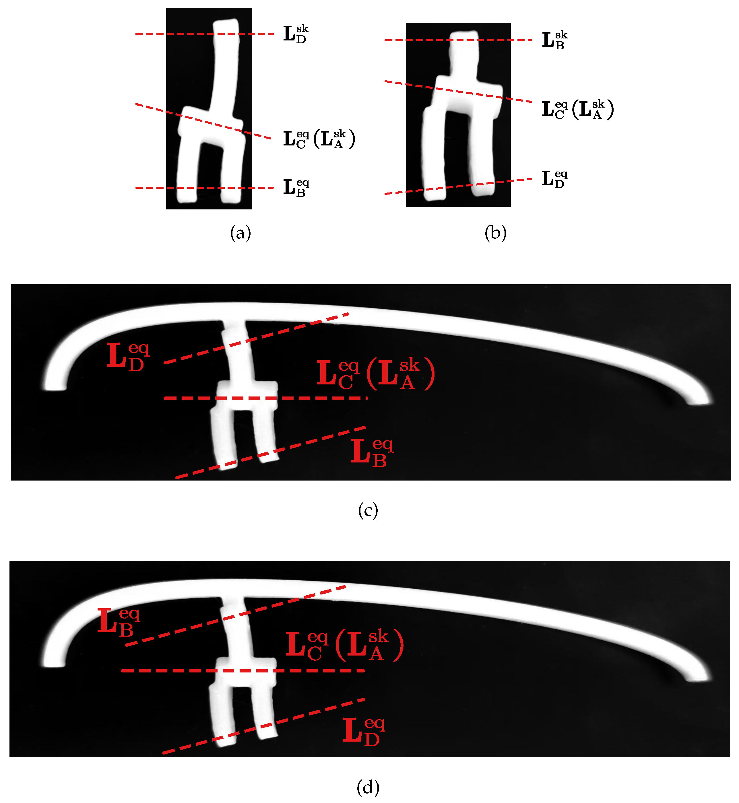 Preprints 137953 g021