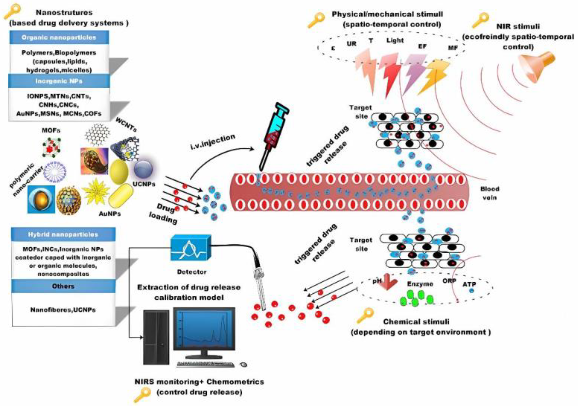 Preprints 68205 g001