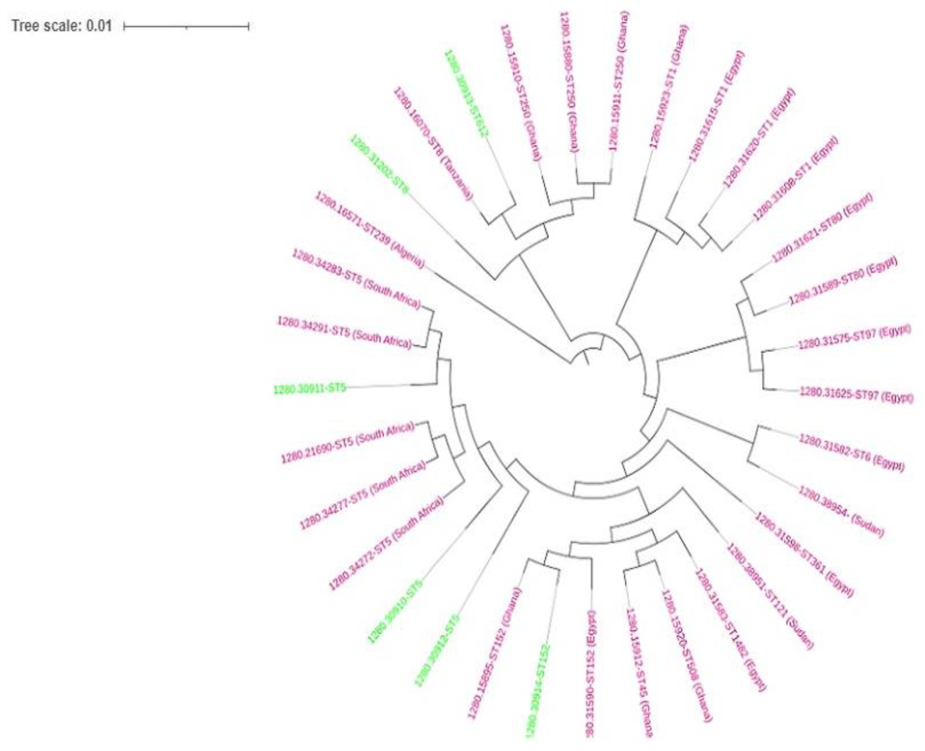 Preprints 112078 g001