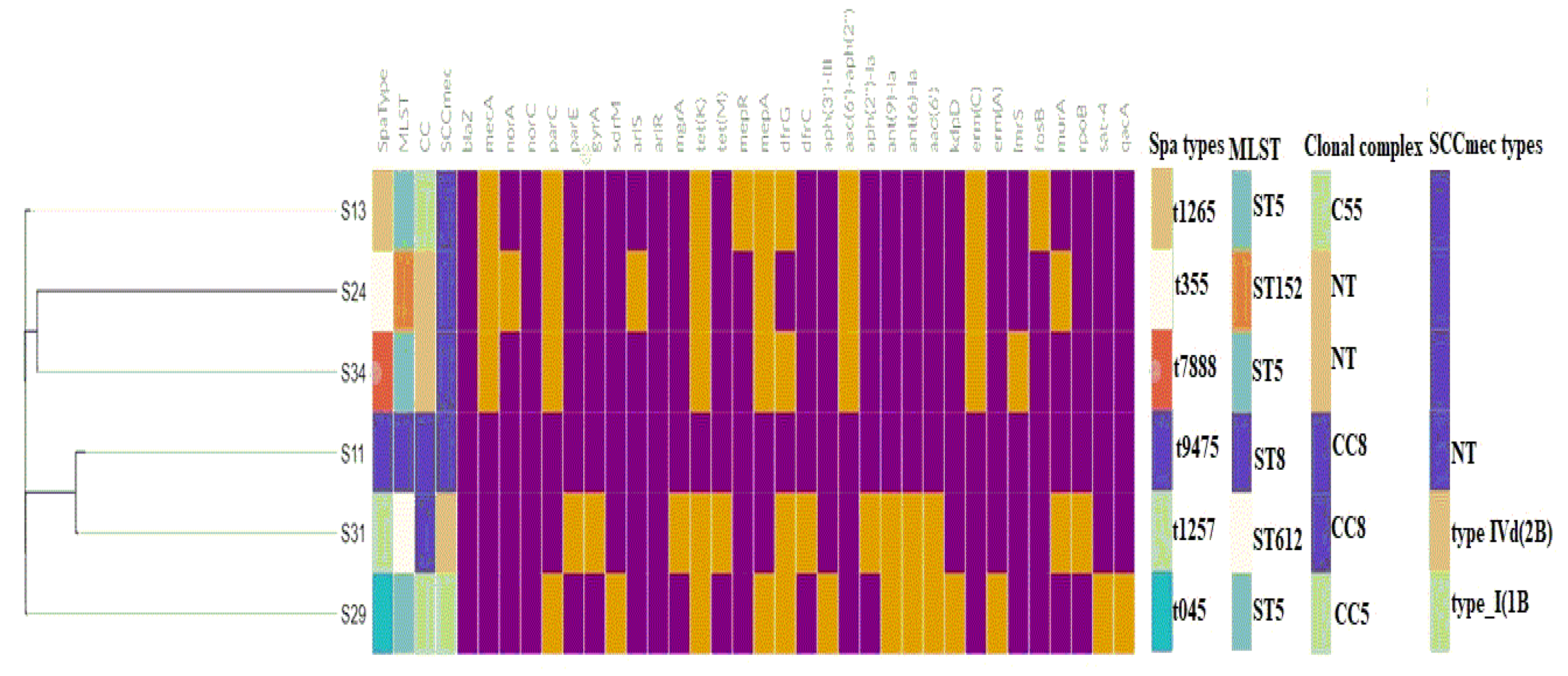 Preprints 112078 g002